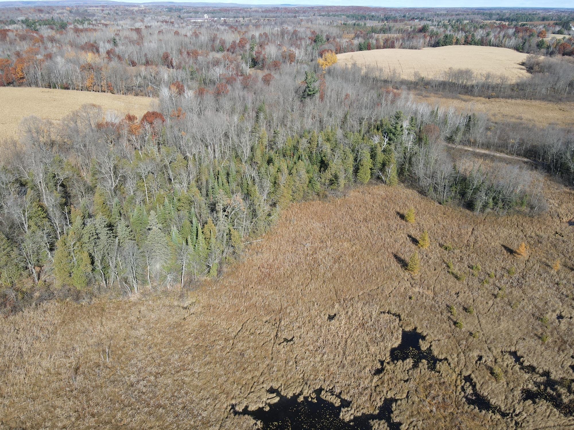 TBD Willy Road, Weyerhaeuser, Wisconsin image 8