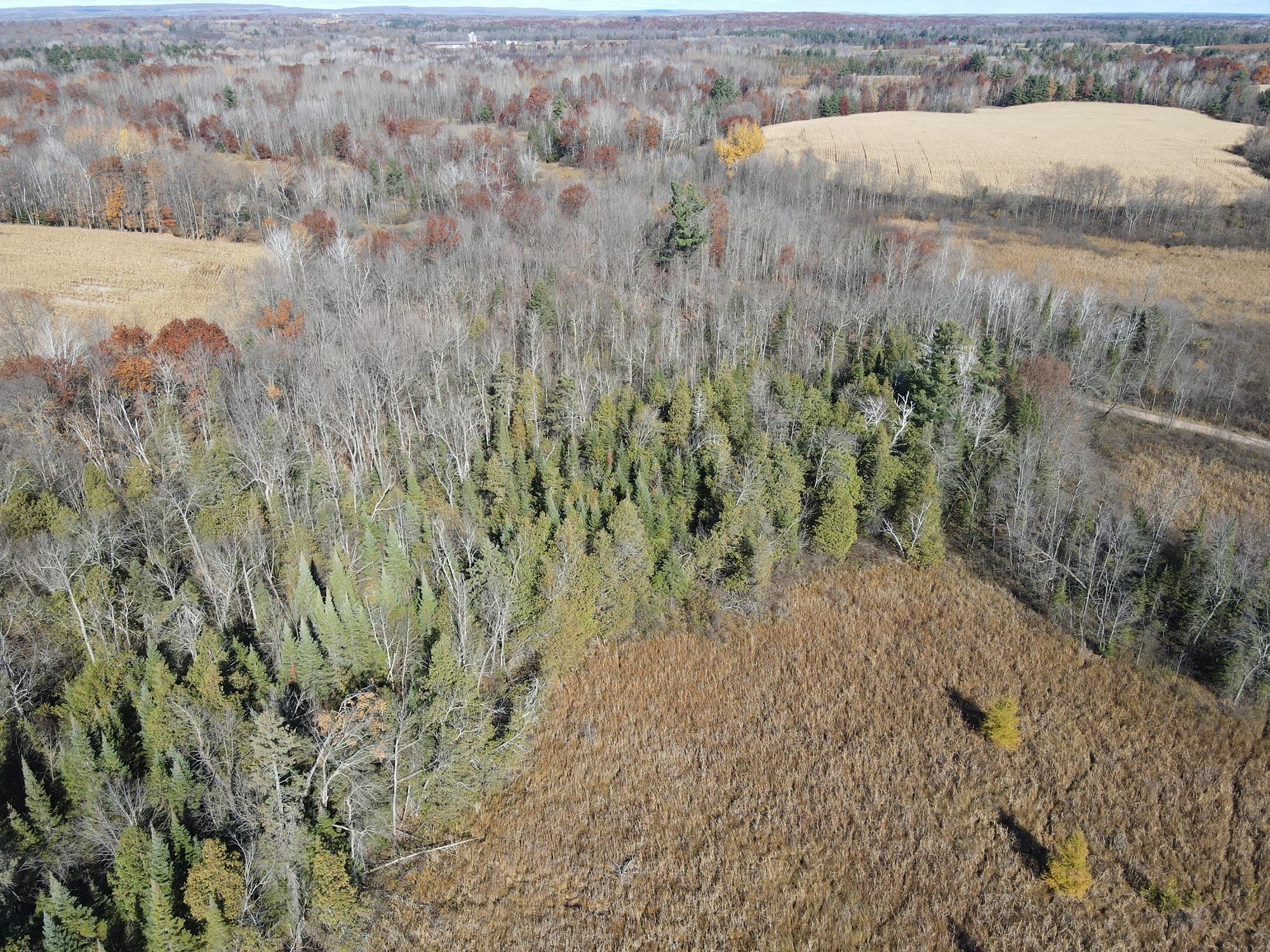 TBD Willy Road, Weyerhaeuser, Wisconsin image 2