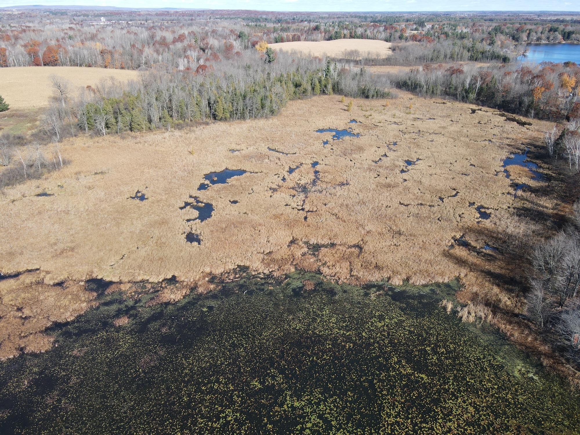 TBD Willy Road, Weyerhaeuser, Wisconsin image 7