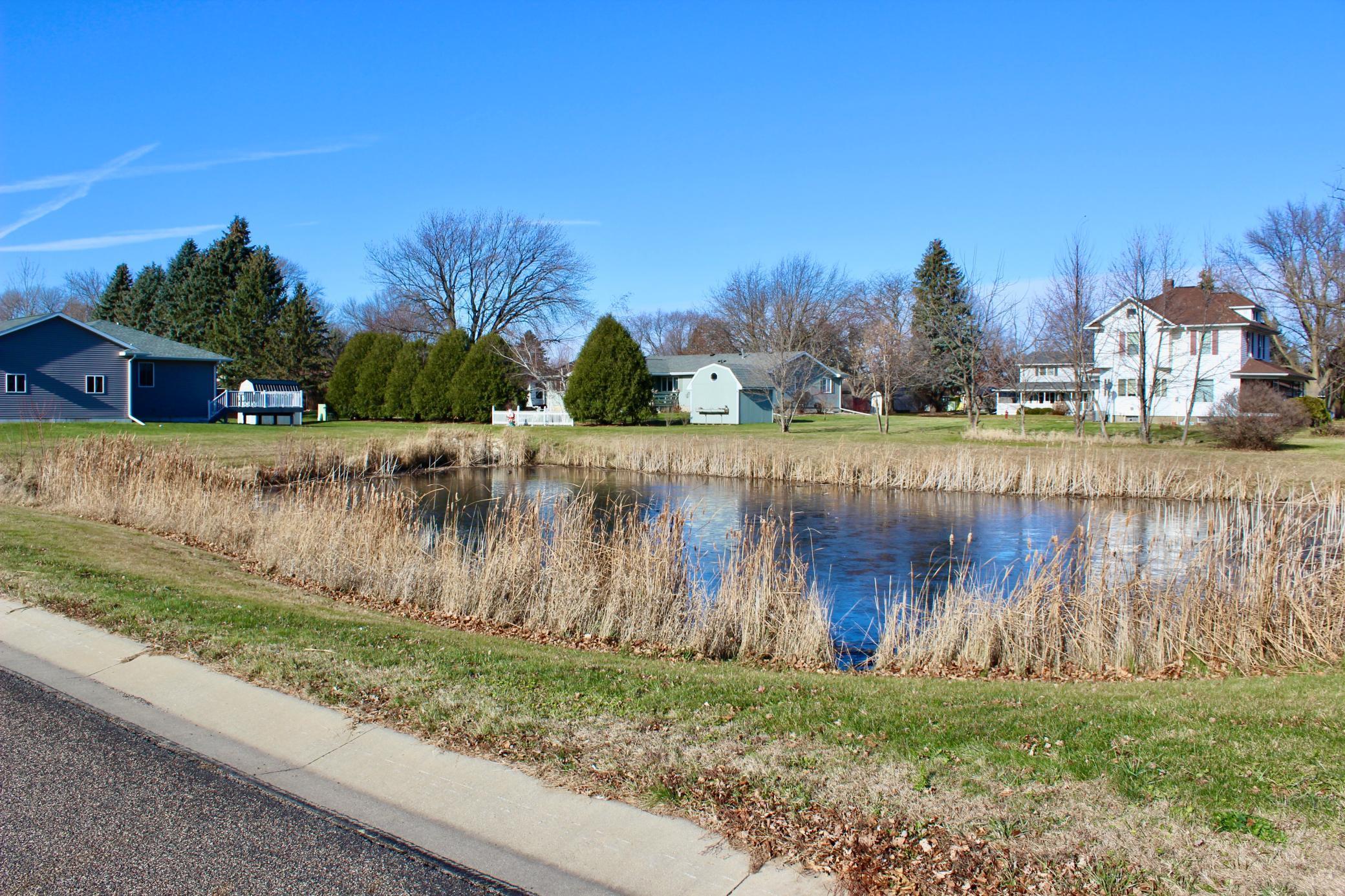 139 6th Street, Blooming Prairie, Minnesota image 4