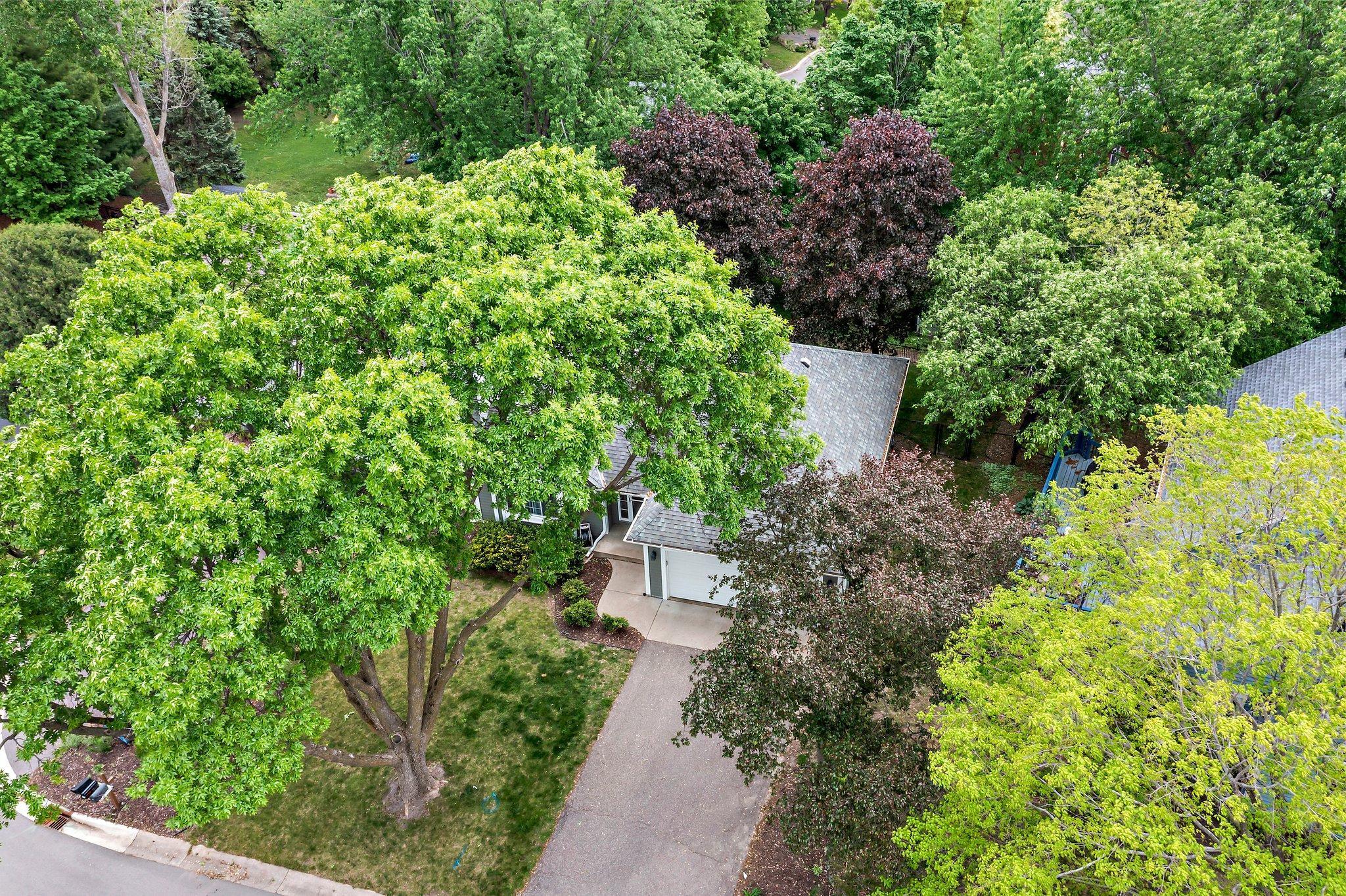 95 Olympic Circle, Chanhassen, Minnesota image 45
