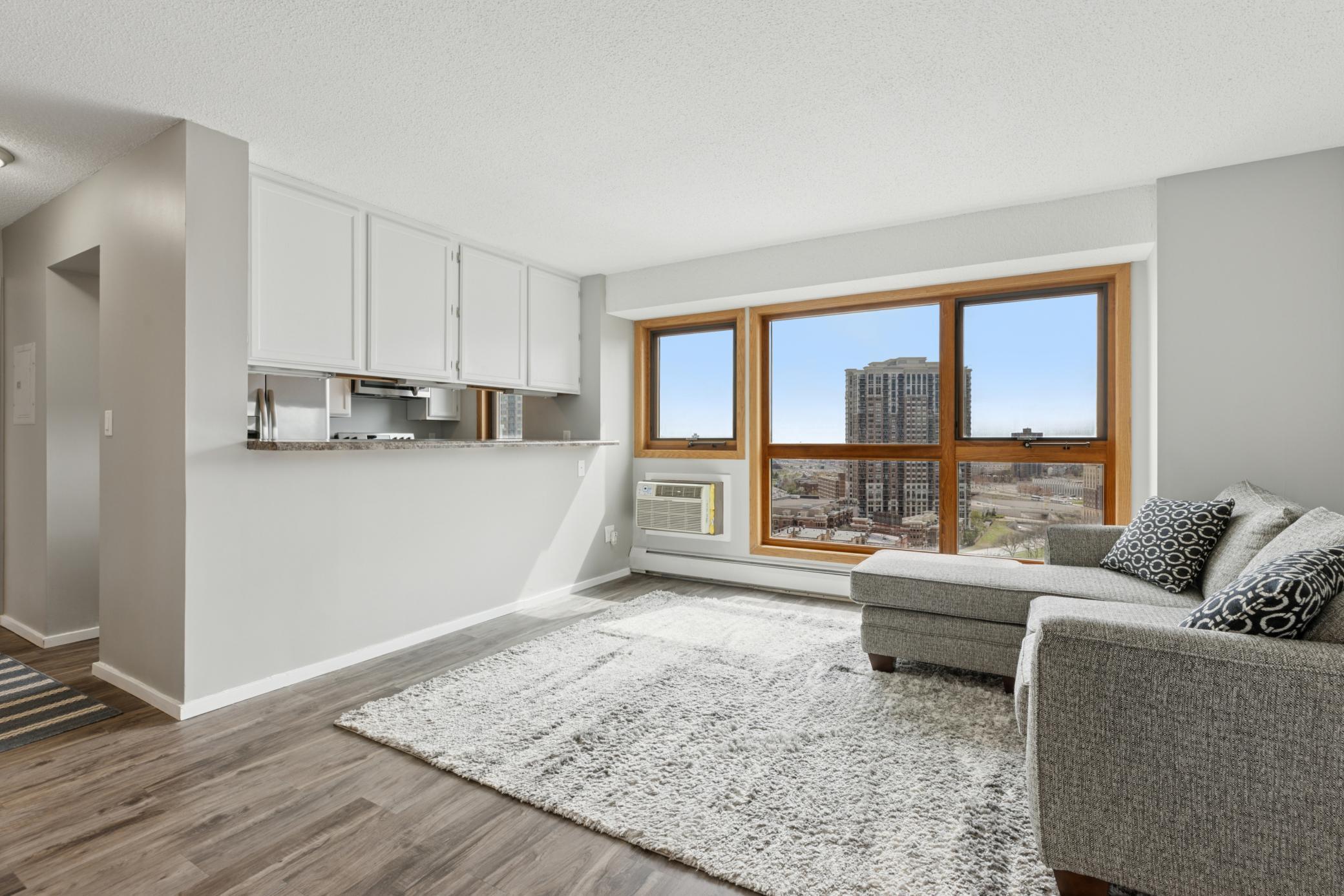 433 S 7th Street #1625, Minneapolis, Minnesota image 3