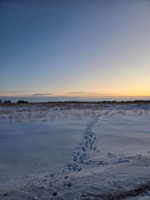 Vacant Land For Sale - TBD County Highway 32<br/> Norman County, Gary, MN 56545