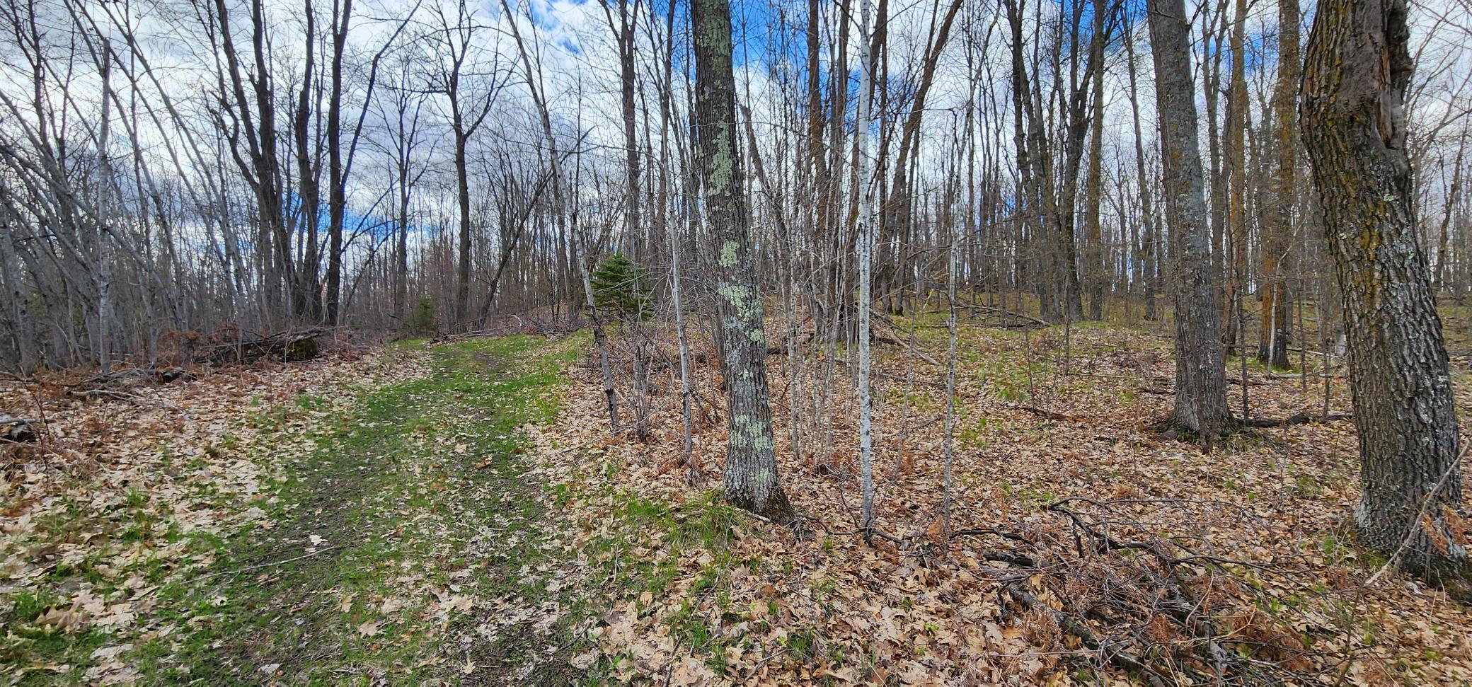 57391 Duncan Road, Sandstone, Minnesota image 34