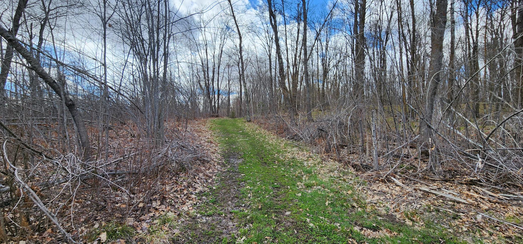 57391 Duncan Road, Sandstone, Minnesota image 35