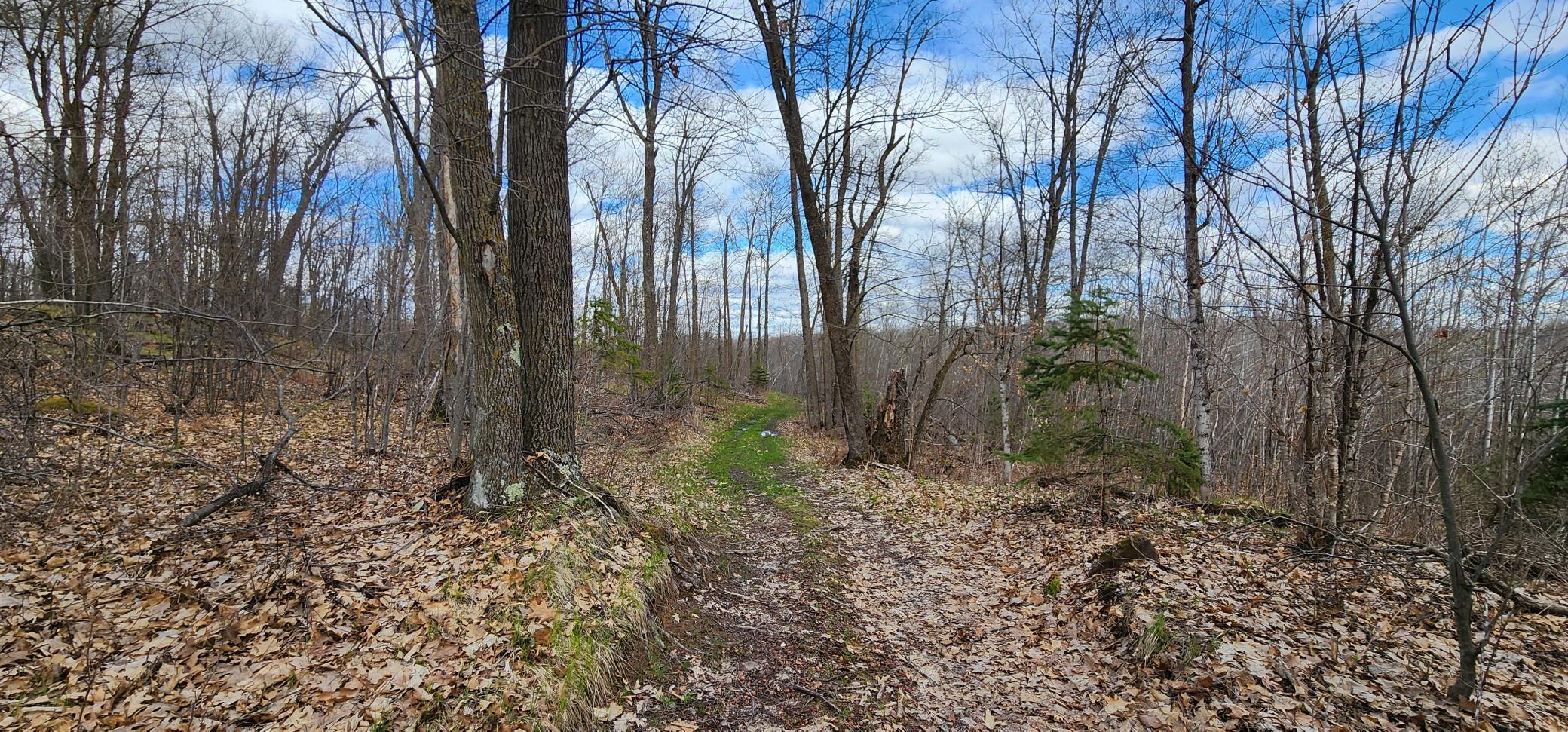 57391 Duncan Road, Sandstone, Minnesota image 33