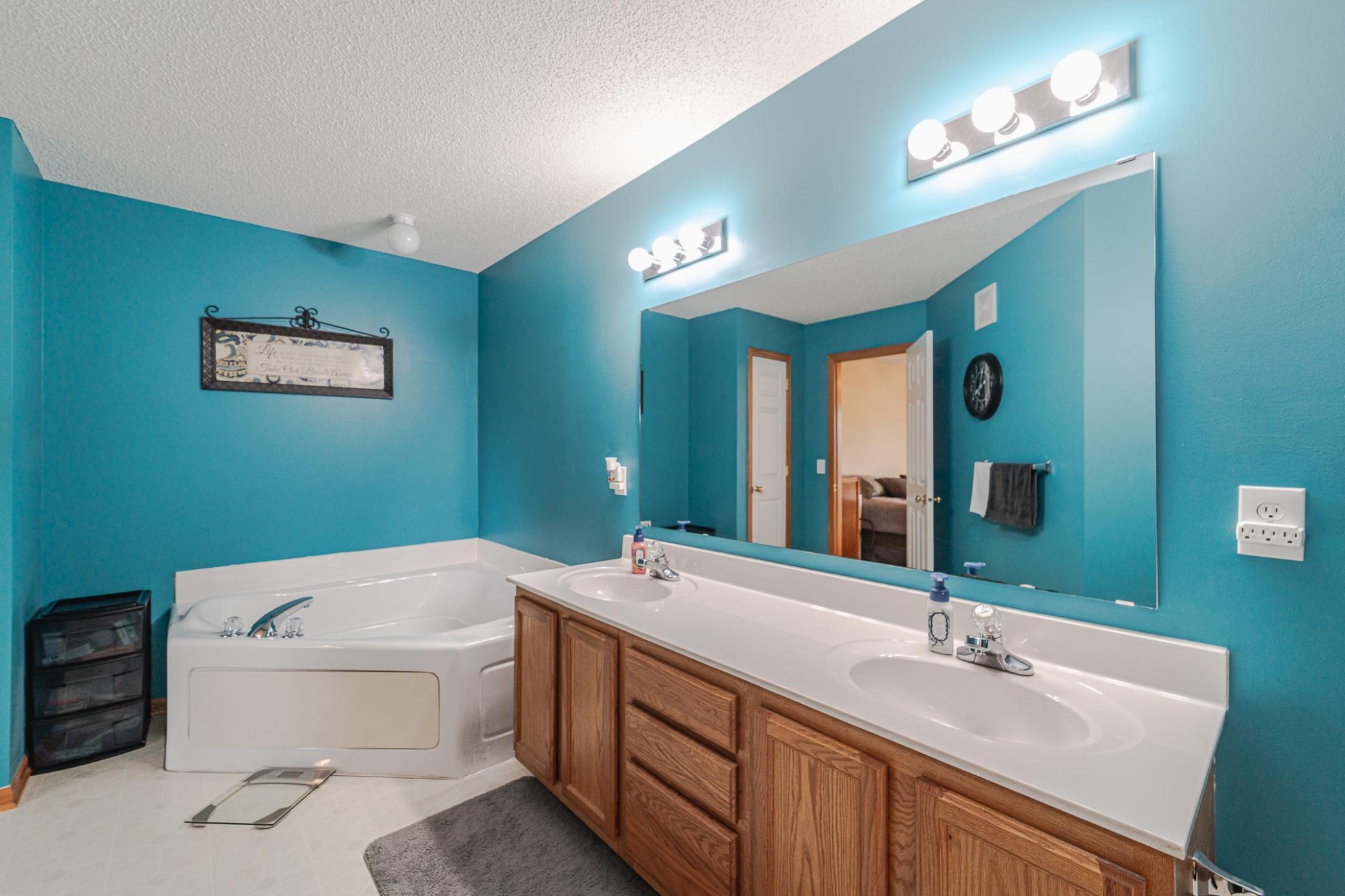 17366 River Birch Lane, Prior Lake, Minnesota image 20