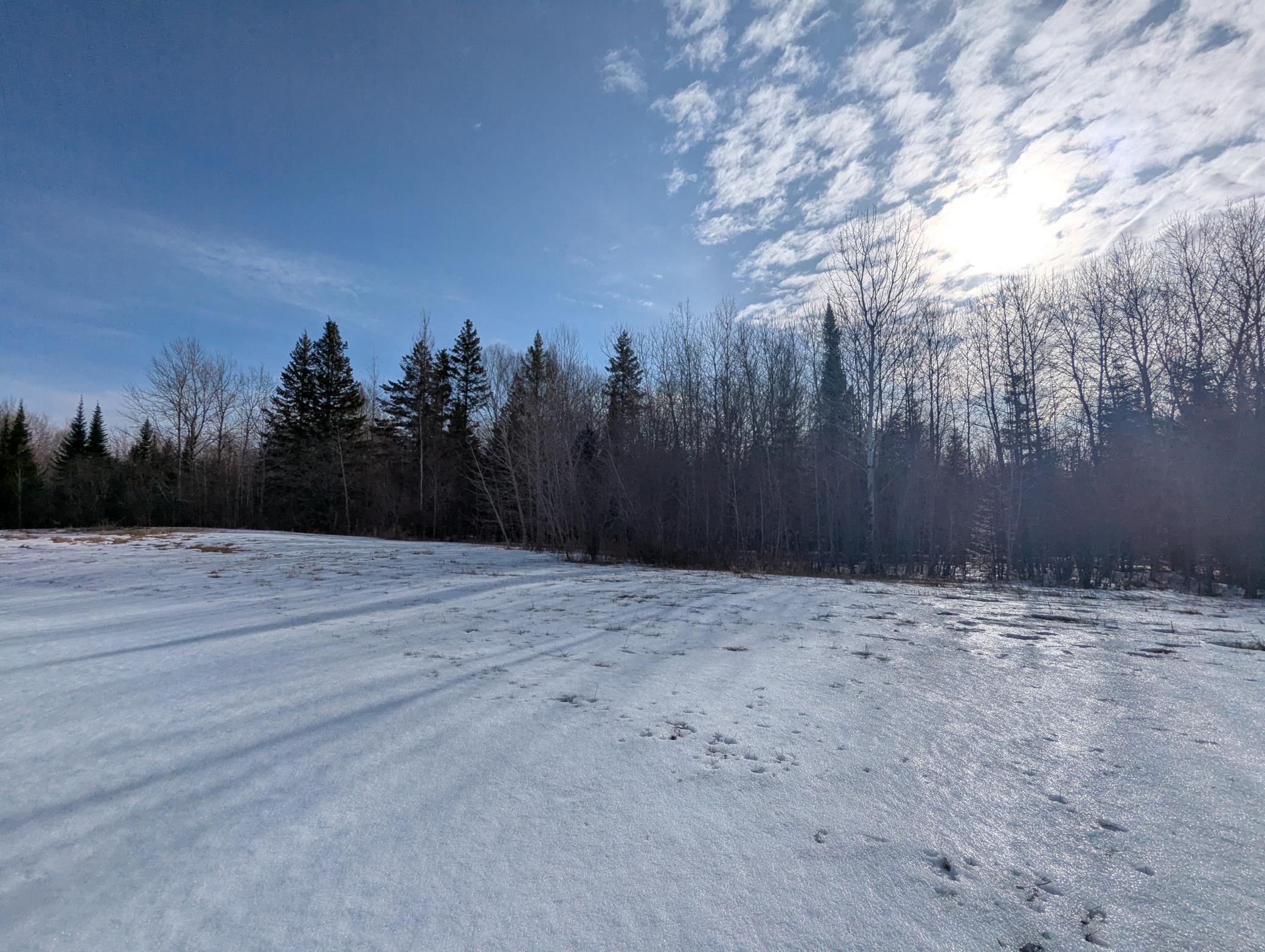 Town Road 6, Northome, Minnesota image 9