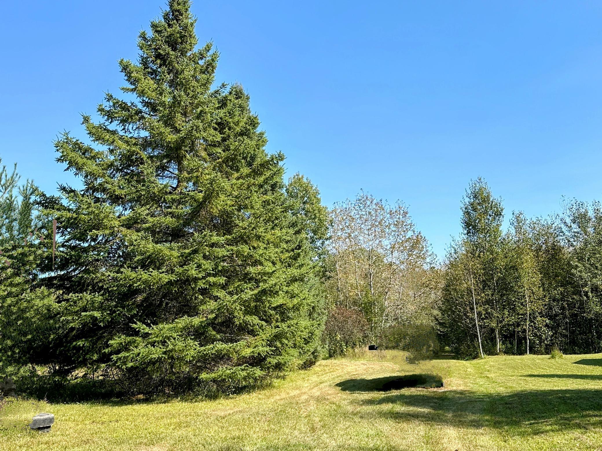 Town Road 6, Northome, Minnesota image 14