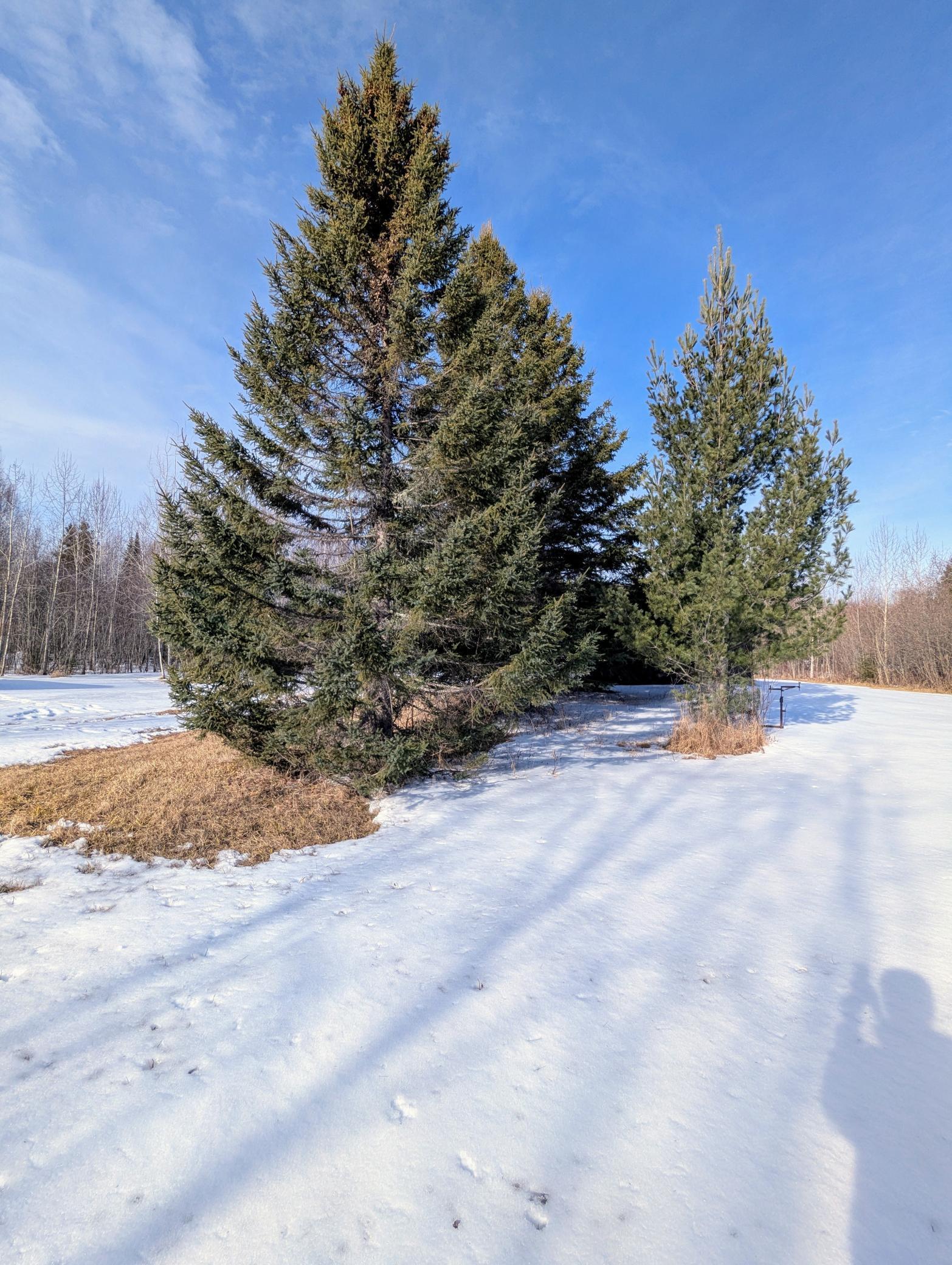 Town Road 6, Northome, Minnesota image 11