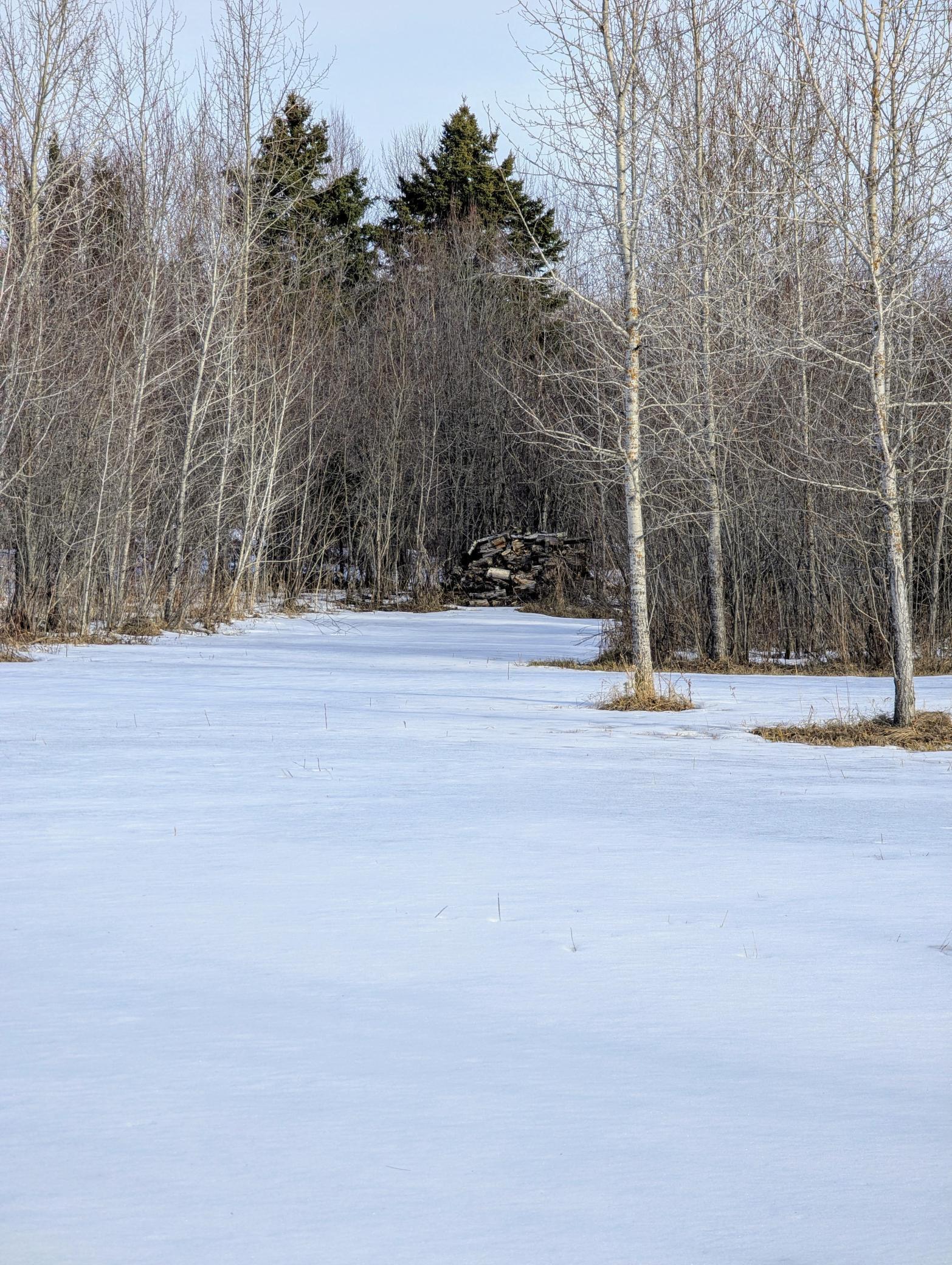 Town Road 6, Northome, Minnesota image 12