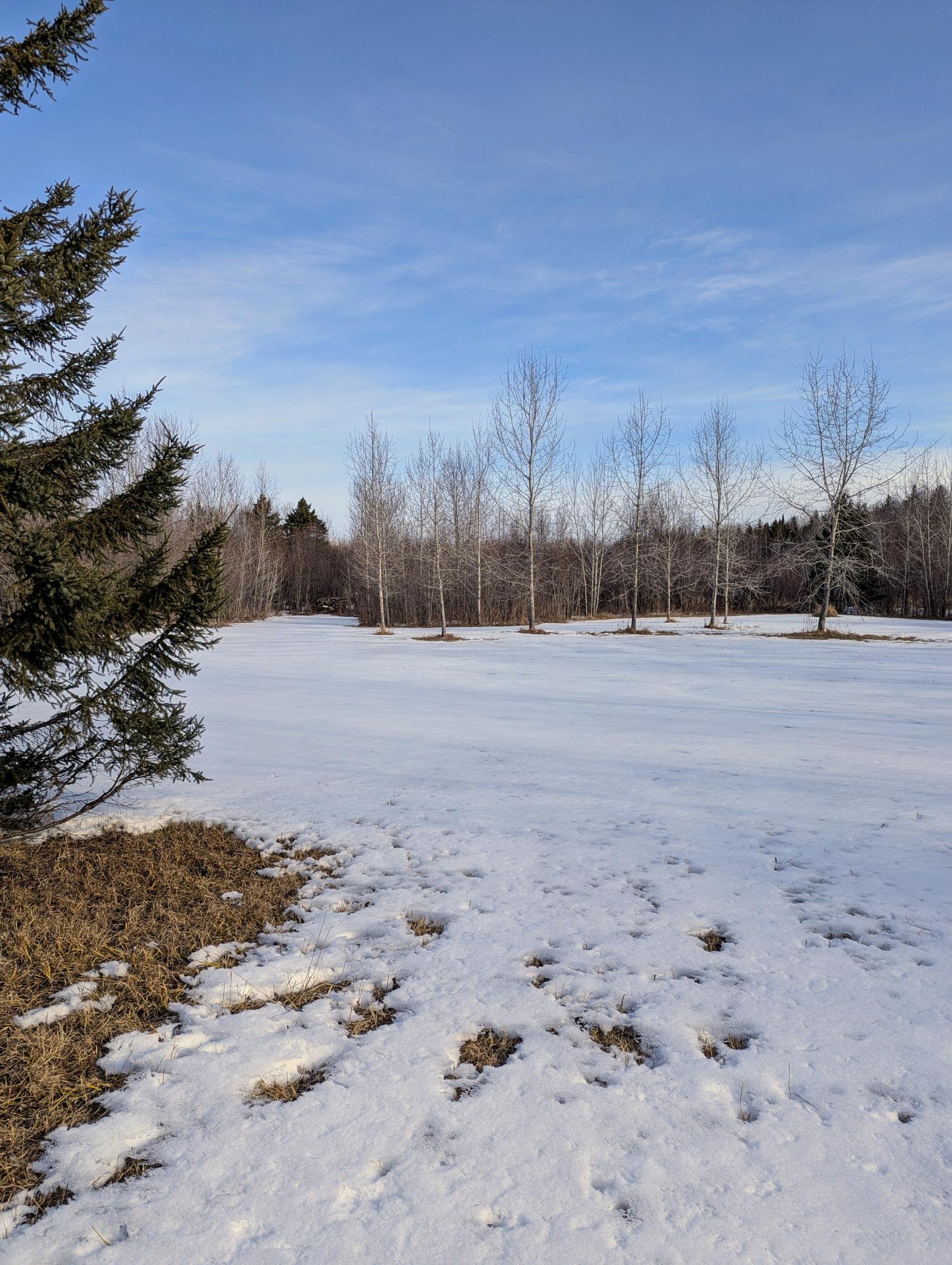 Town Road 6, Northome, Minnesota image 10