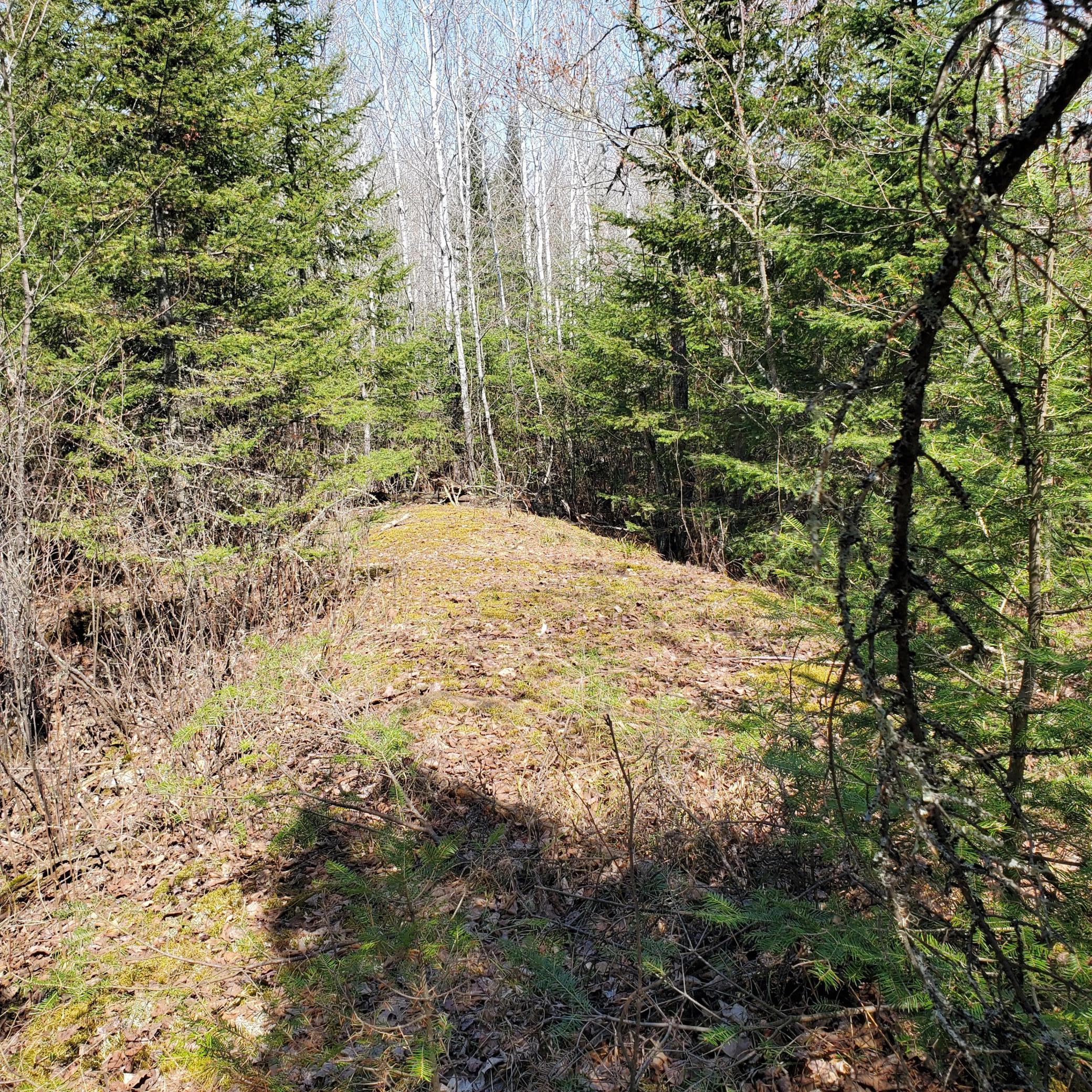 10508 Bessette Road, Orr, Minnesota image 8