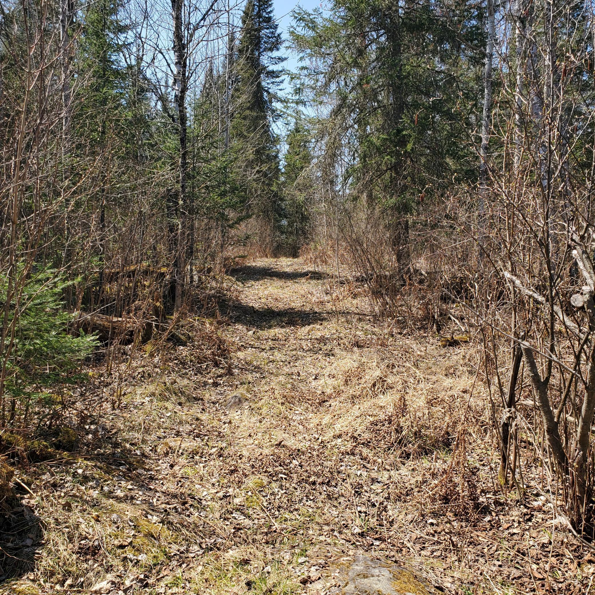 10508 Bessette Road, Orr, Minnesota image 14