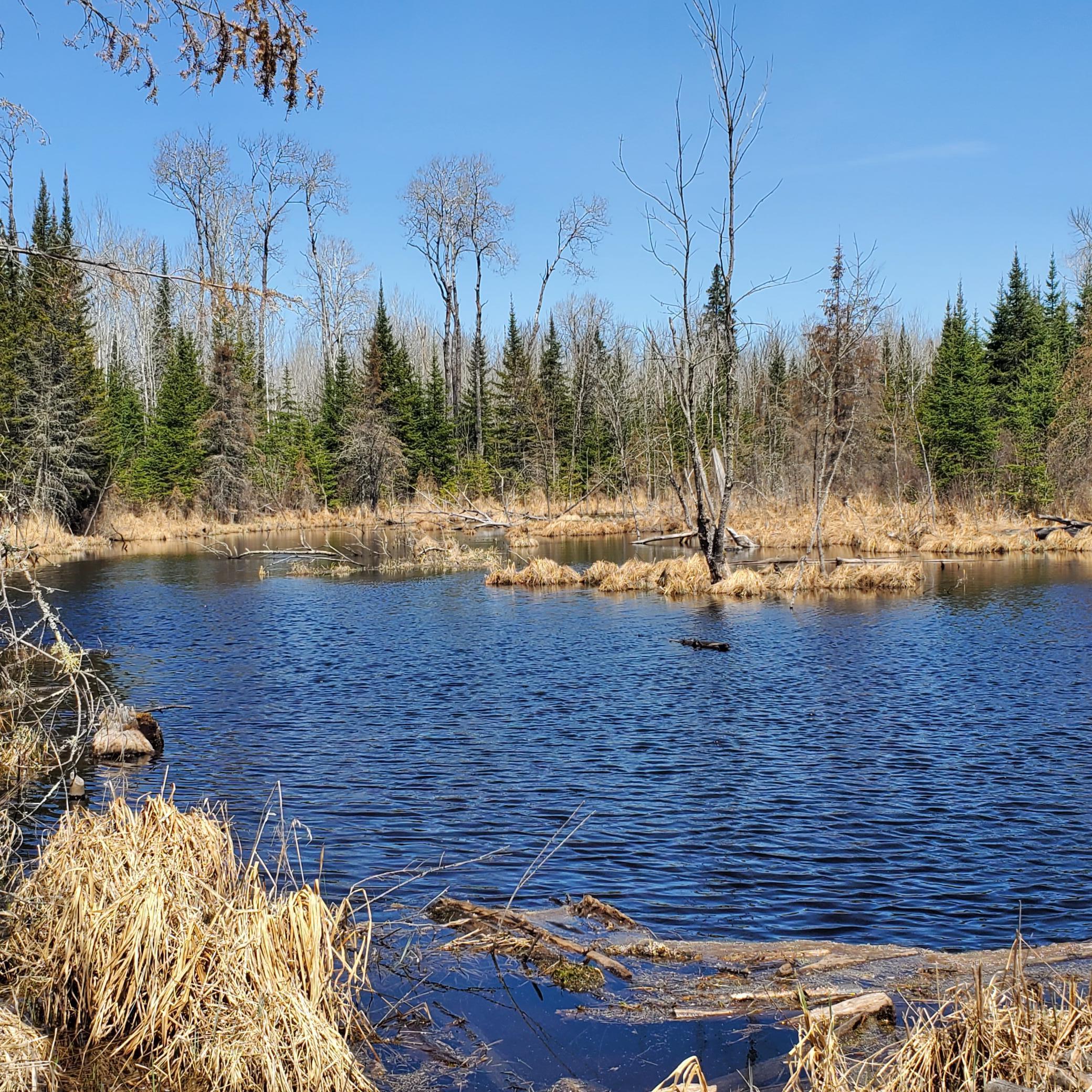 10508 Bessette Road, Orr, Minnesota image 6