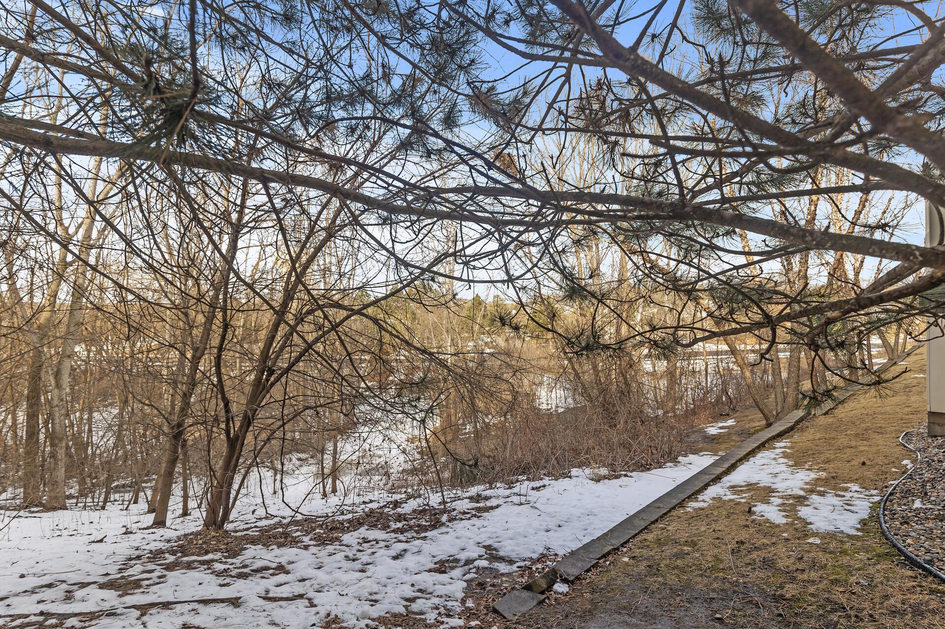 8833 Brunswick Path #1203, Inver Grove Heights, Minnesota image 37