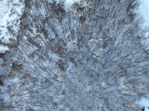 Vacant Land For Sale - TBD Drake Circle<br/> Pine River, MN 56474