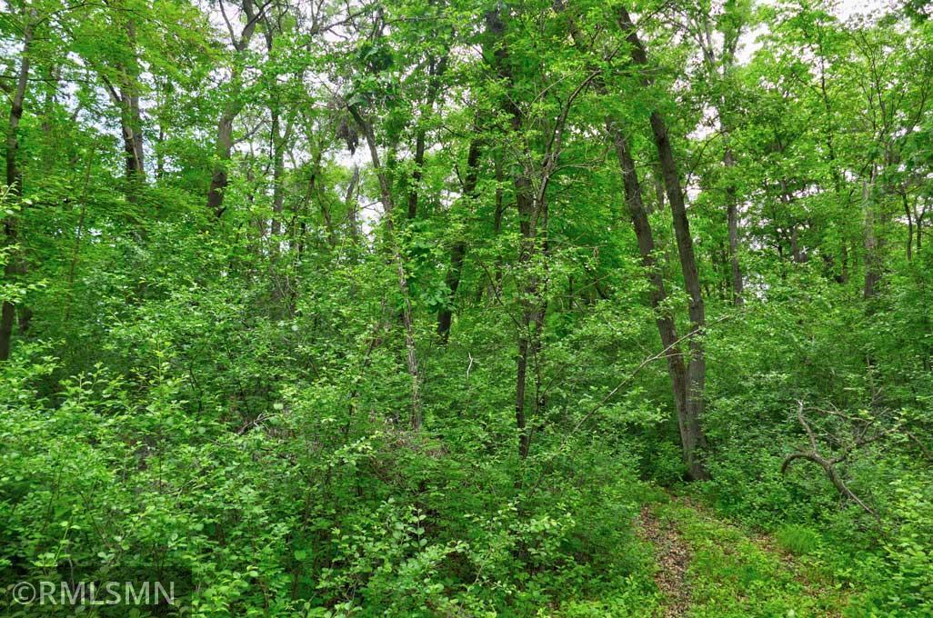 116X 65th Avenue, Amery, Wisconsin image 5