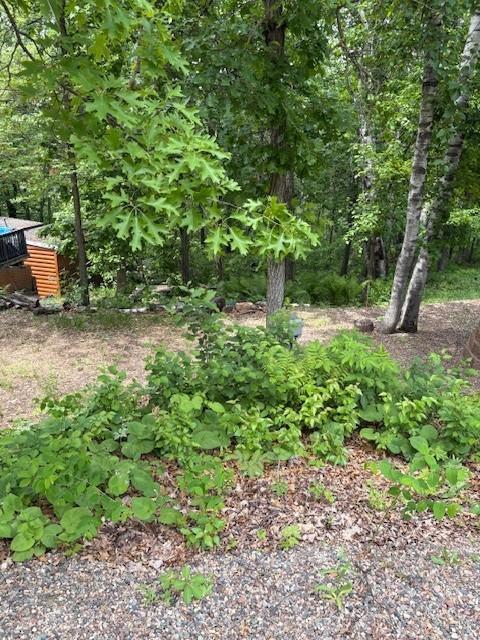 30723 Plumwood Trail, Pequot Lakes, Minnesota image 2