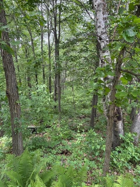 30723 Plumwood Trail, Pequot Lakes, Minnesota image 3