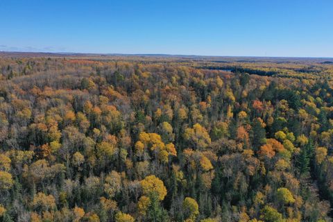 Vacant Land For Sale - TBD French Rd.<br/> Chisholm, MN 55719