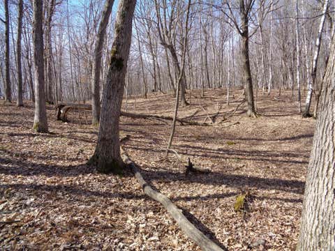Vacant Land For Sale - 2115 210th Street St<br/> Polk County, Centuria, WI 54824