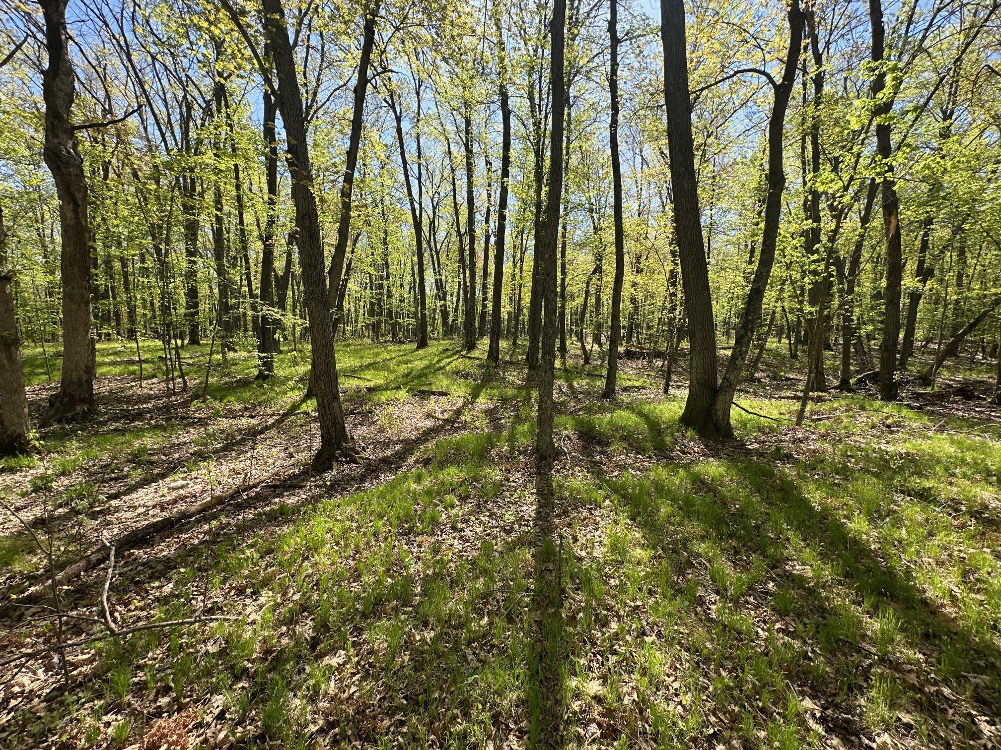 XW Tamarac Road, Onamia, Minnesota image 16