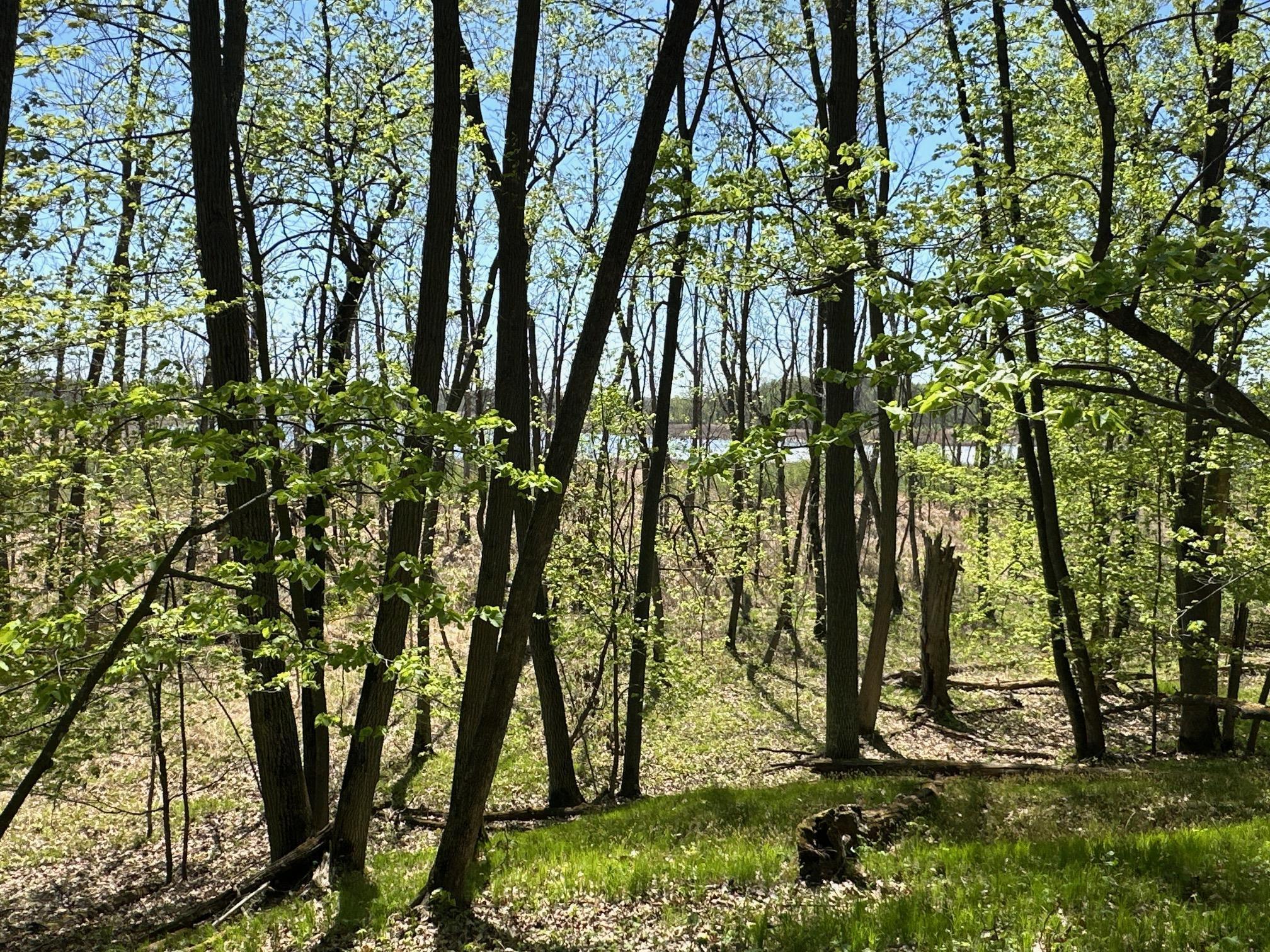 XW Tamarac Road, Onamia, Minnesota image 2