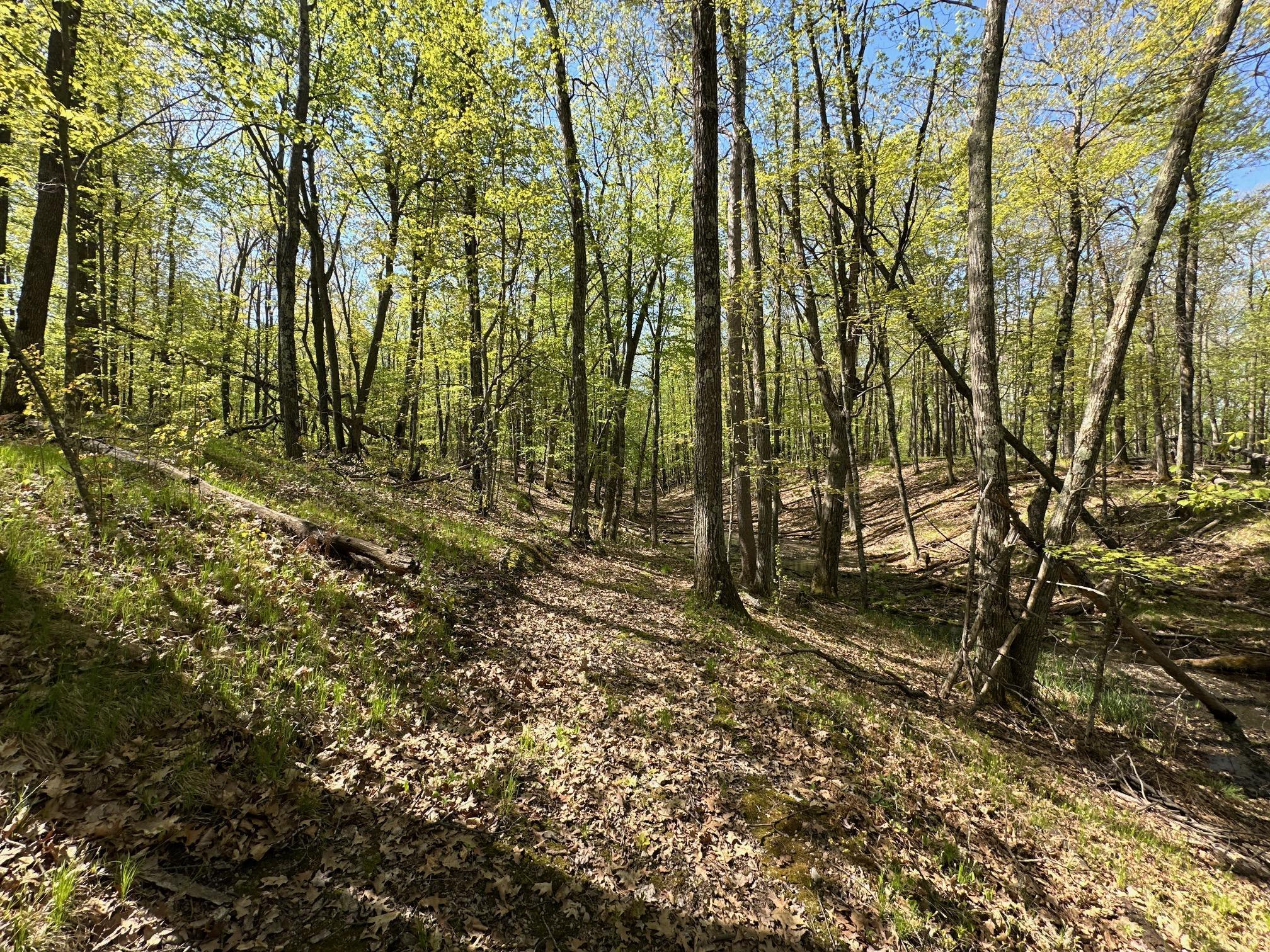 XW Tamarac Road, Onamia, Minnesota image 3