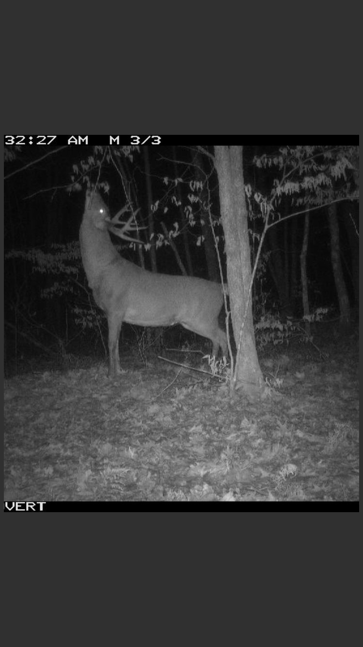 XW Tamarac Road, Onamia, Minnesota image 30
