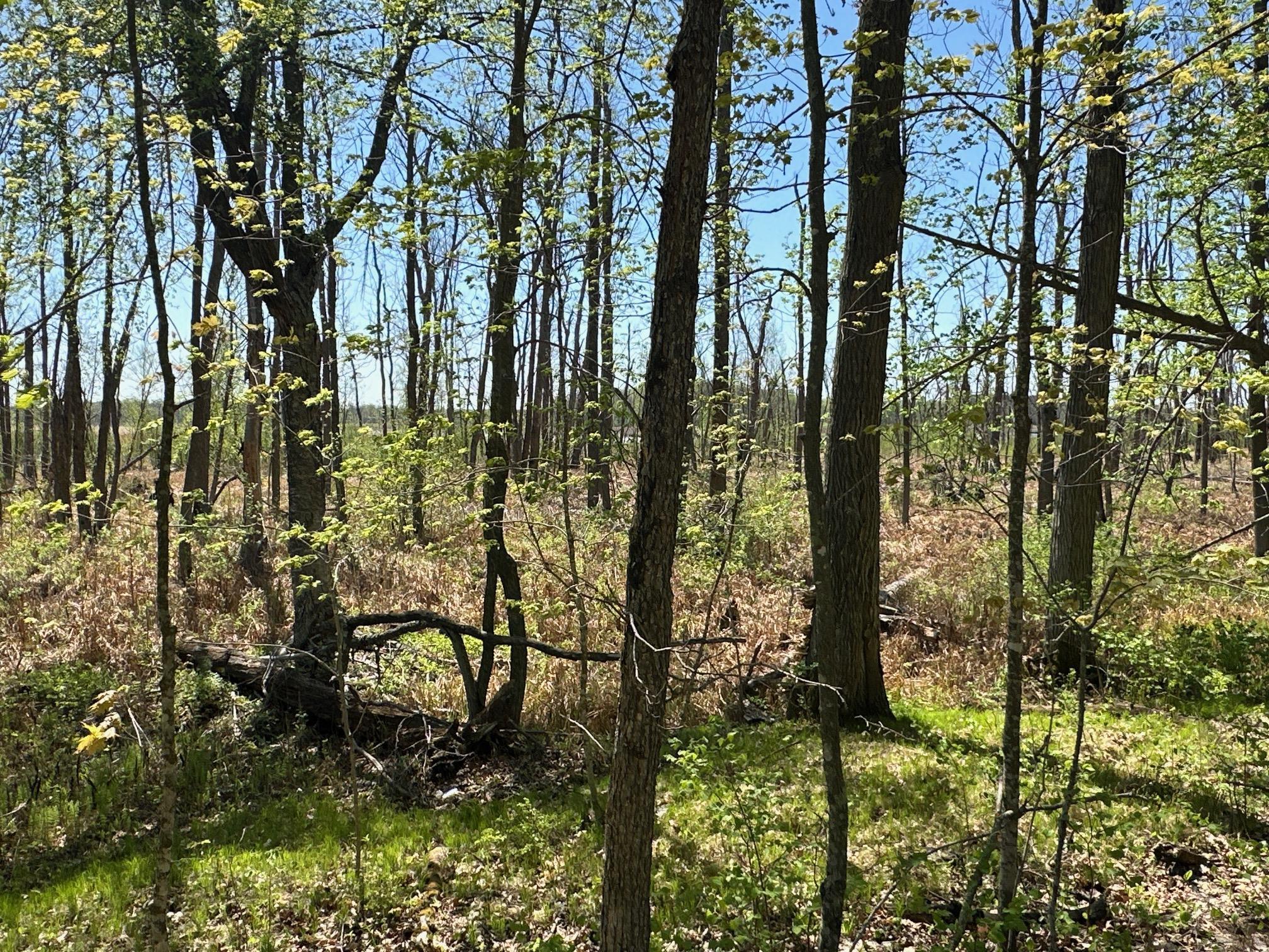 XW Tamarac Road, Onamia, Minnesota image 18