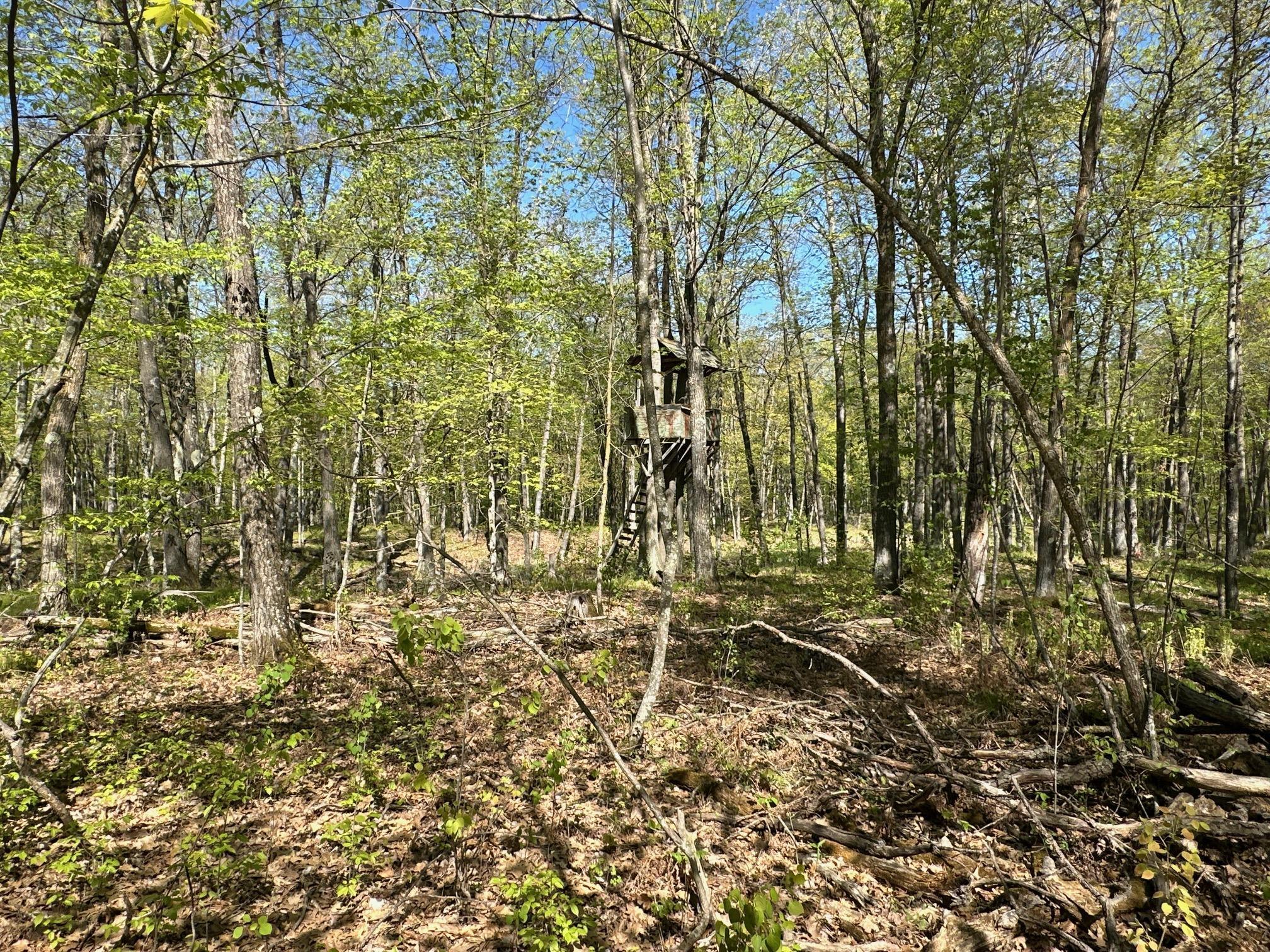 XW Tamarac Road, Onamia, Minnesota image 9