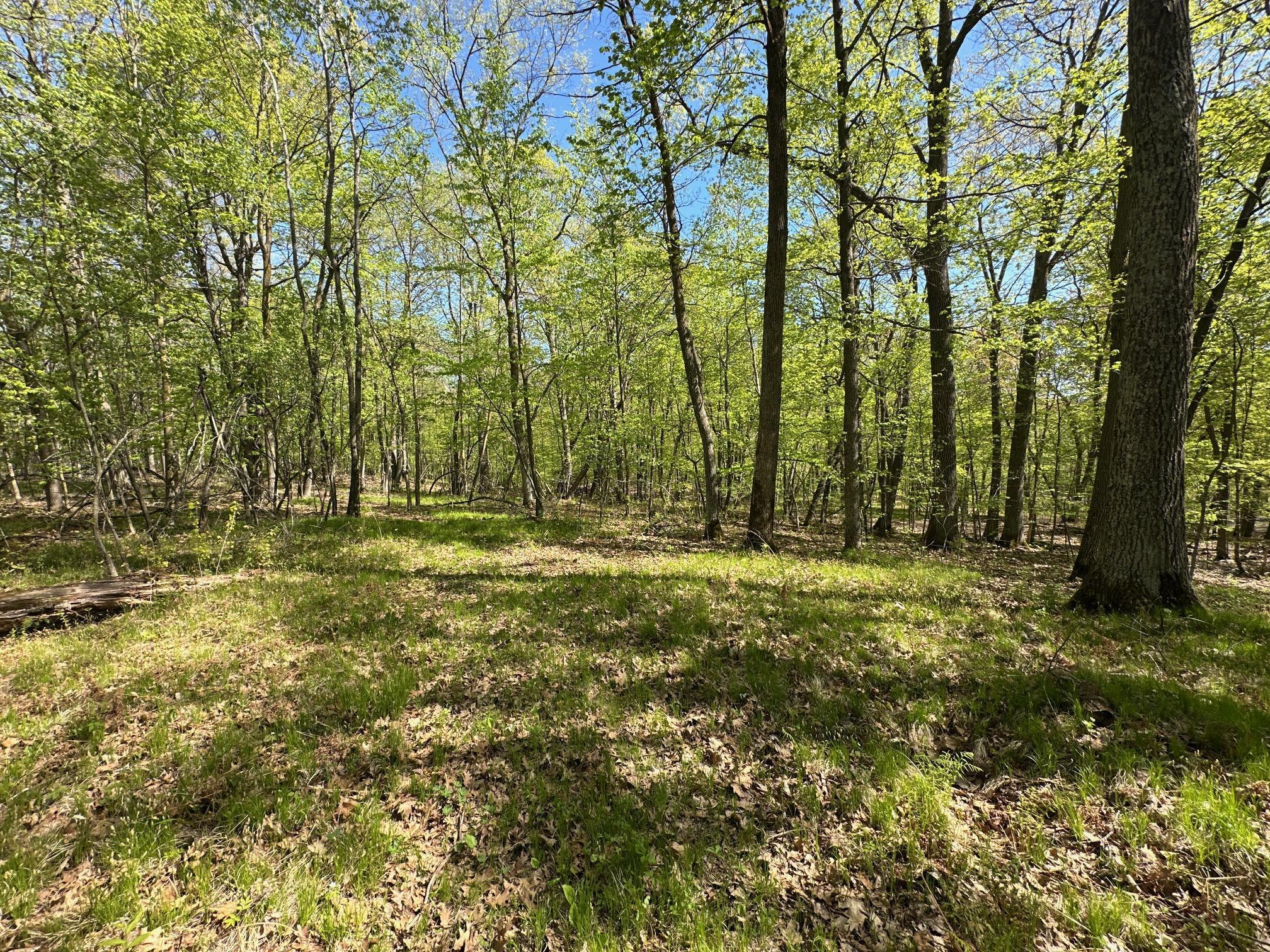 XW Tamarac Road, Onamia, Minnesota image 12