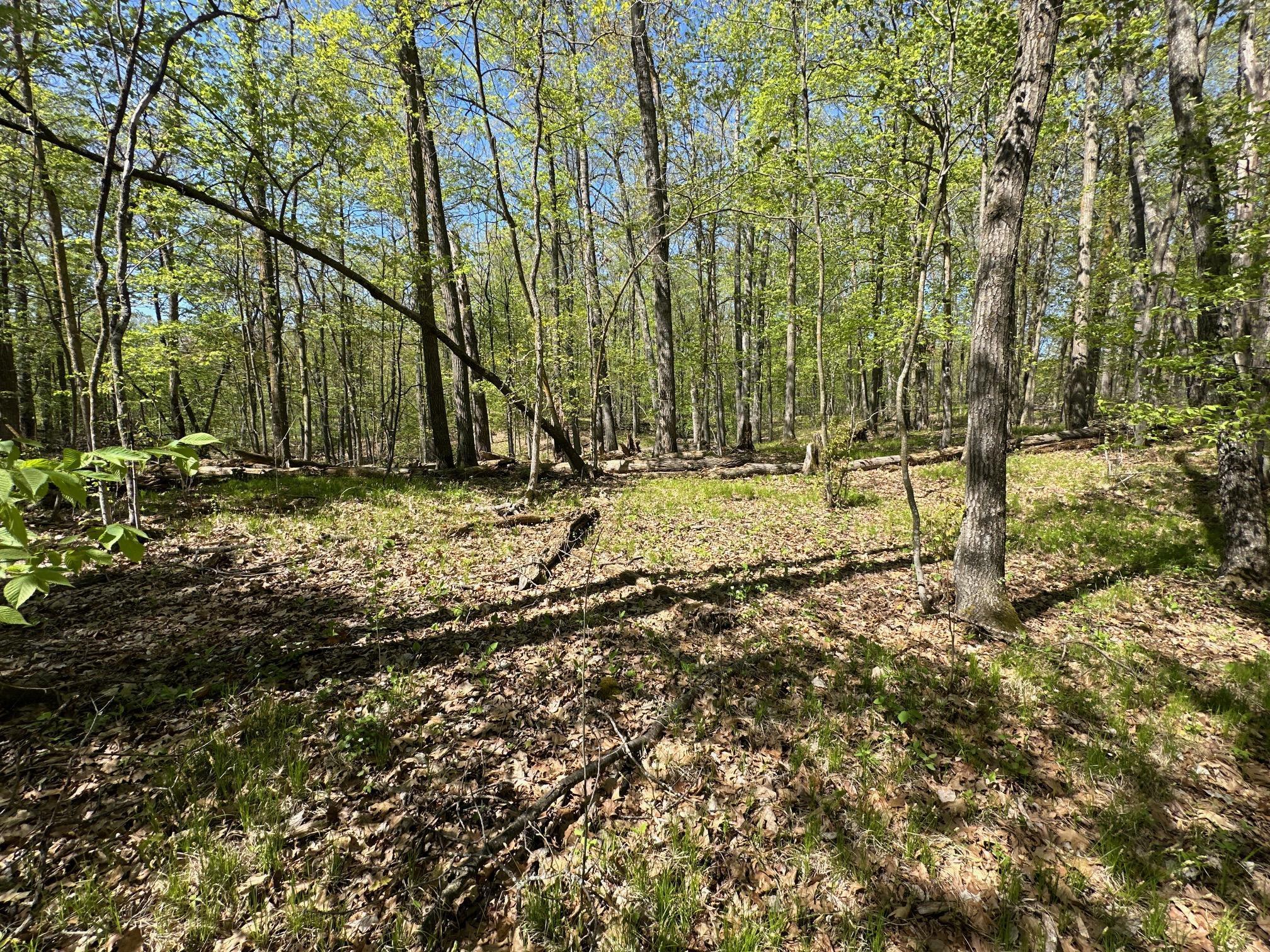 XW Tamarac Road, Onamia, Minnesota image 19