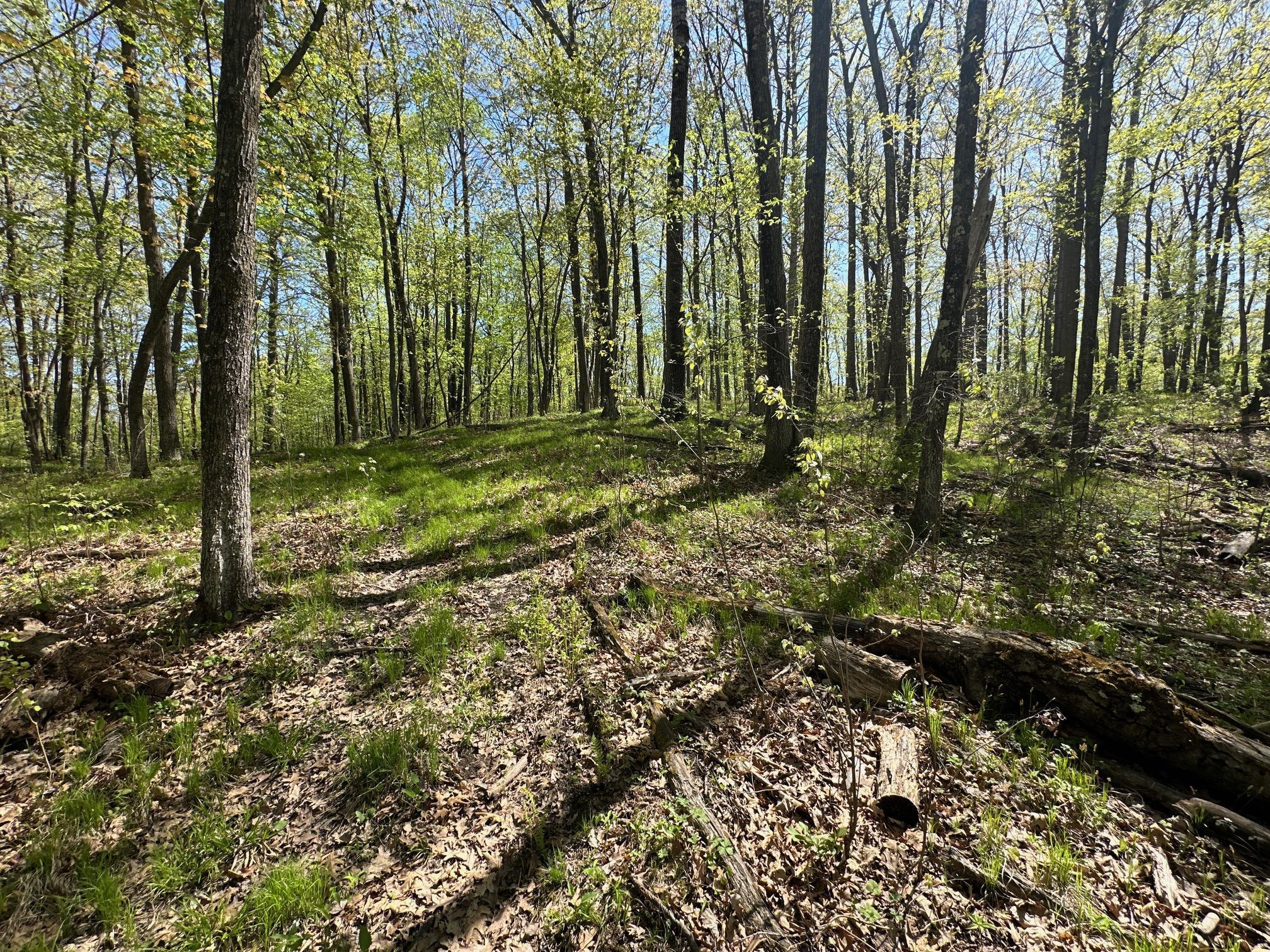 XW Tamarac Road, Onamia, Minnesota image 14