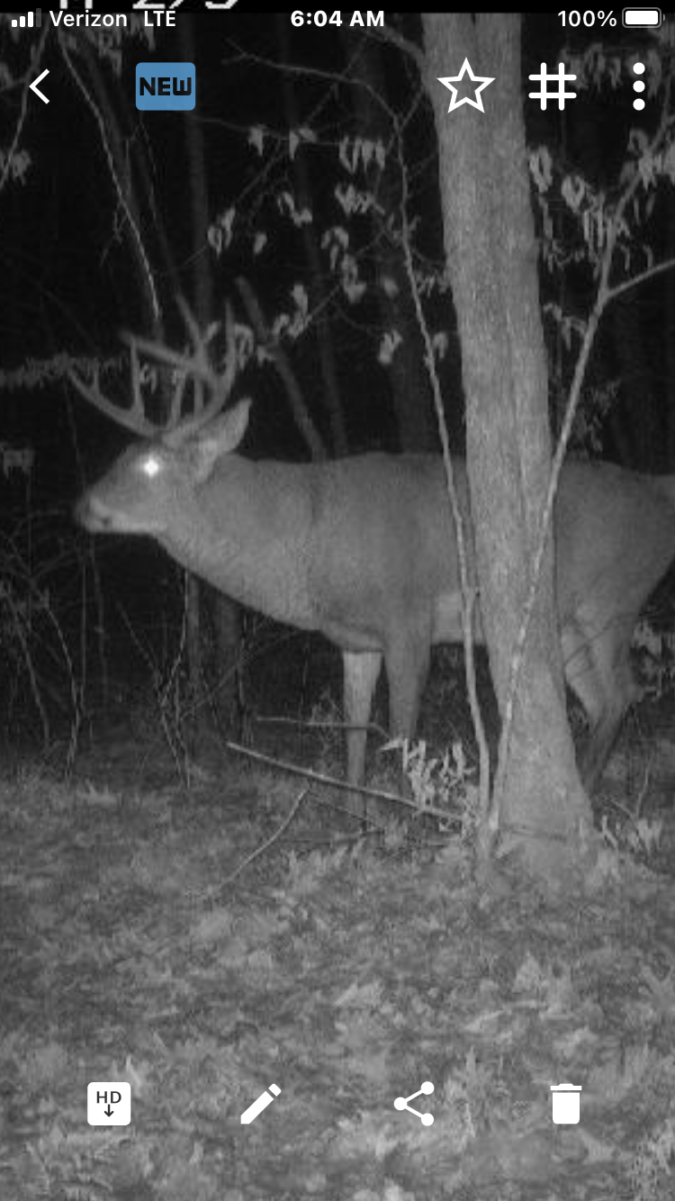 XW Tamarac Road, Onamia, Minnesota image 31