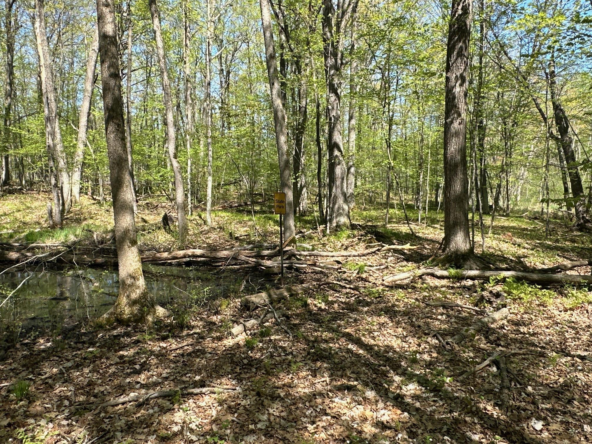 XW Tamarac Road, Onamia, Minnesota image 15