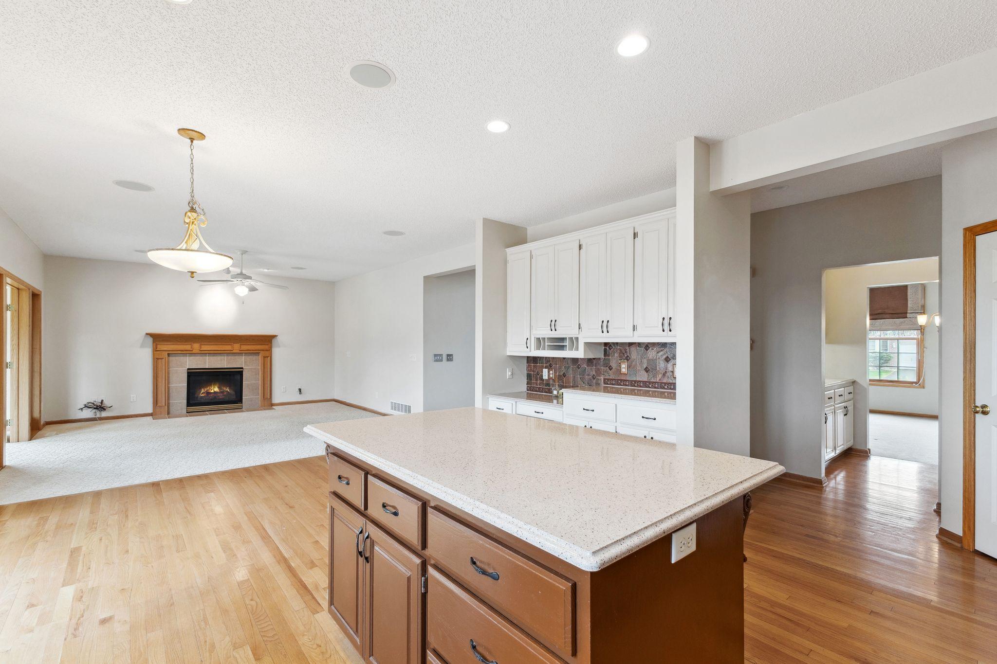 3613 Clare Downs Path, Rosemount, Minnesota image 29