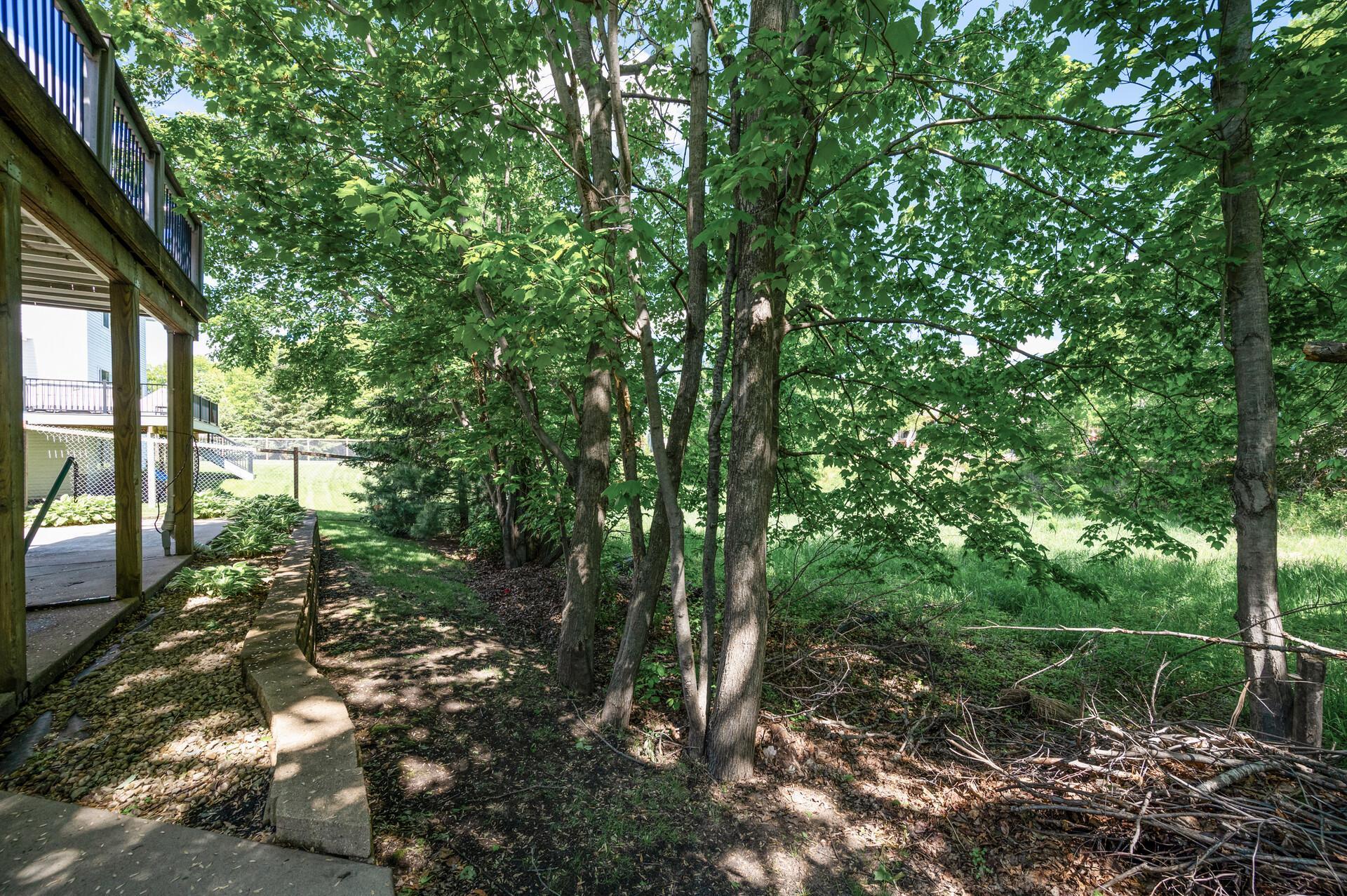 1523 155th Lane, Andover, Minnesota image 48