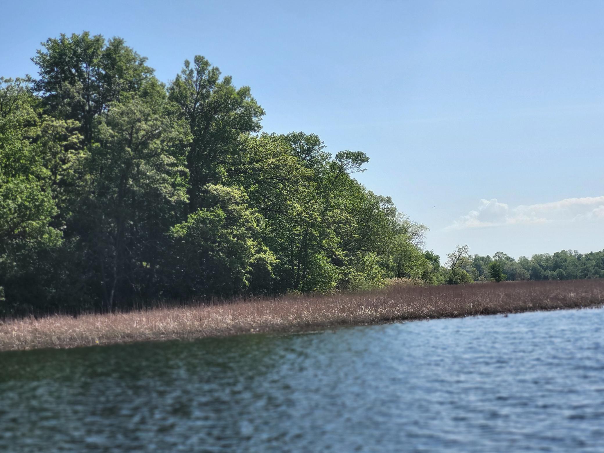 34989 Dead Isle, Richville, Minnesota image 28