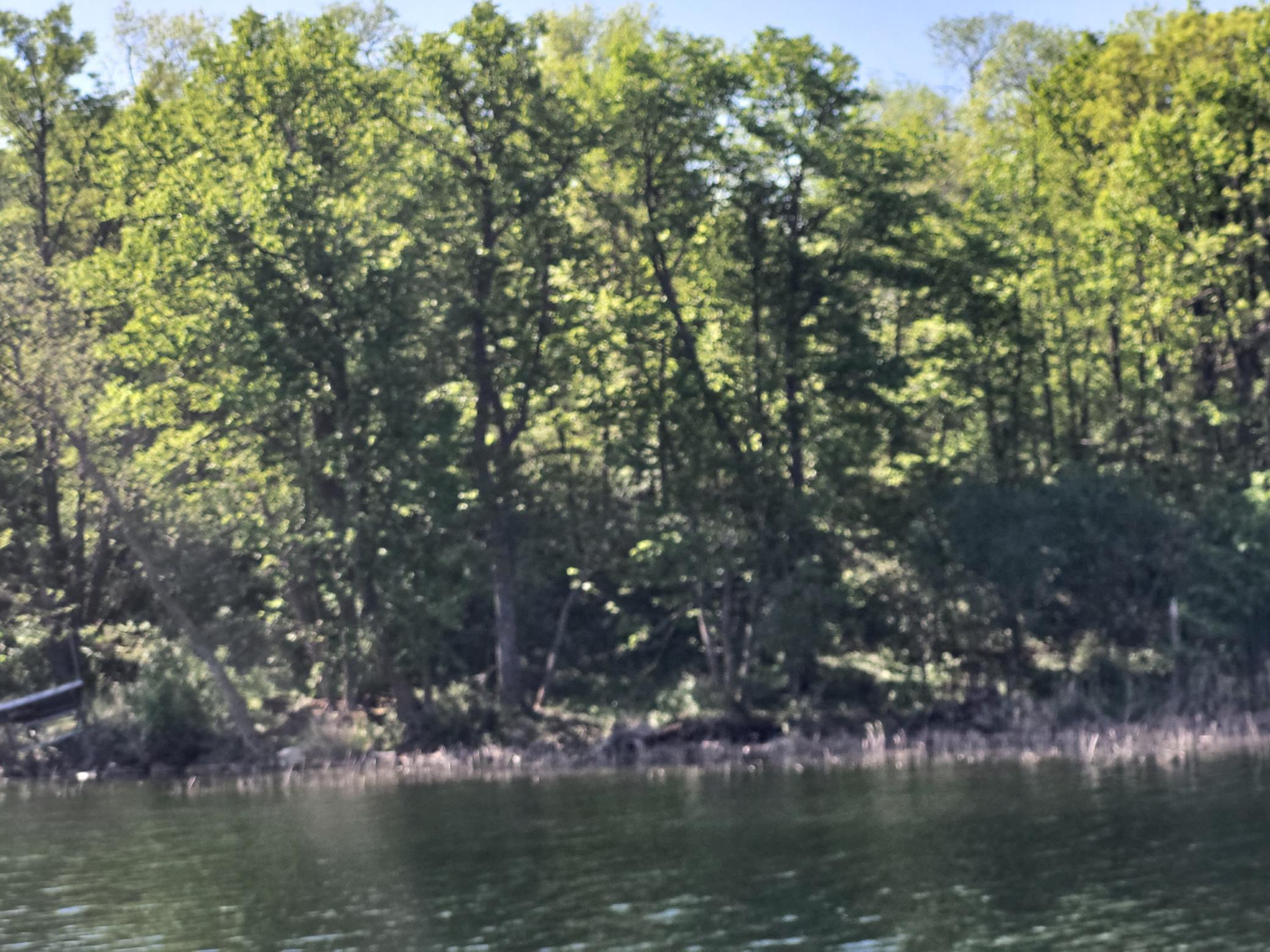 34989 Dead Isle, Richville, Minnesota image 23