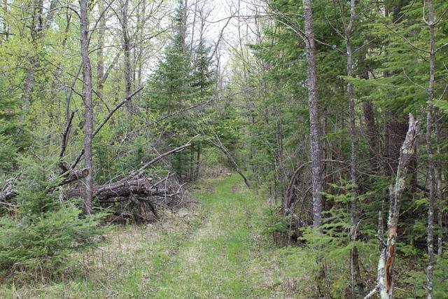 TBD County Rd 19, Deer River, Minnesota image 6