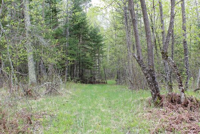 TBD County Rd 19, Deer River, Minnesota image 4