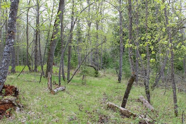 TBD County Rd 19, Deer River, Minnesota image 9