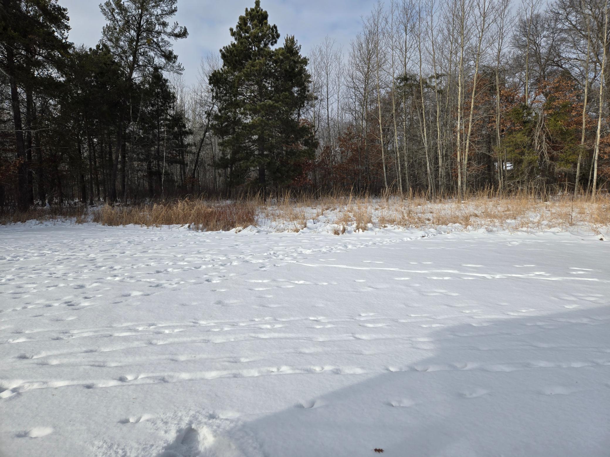 24197 White Pine Drive, Nisswa, Minnesota image 8