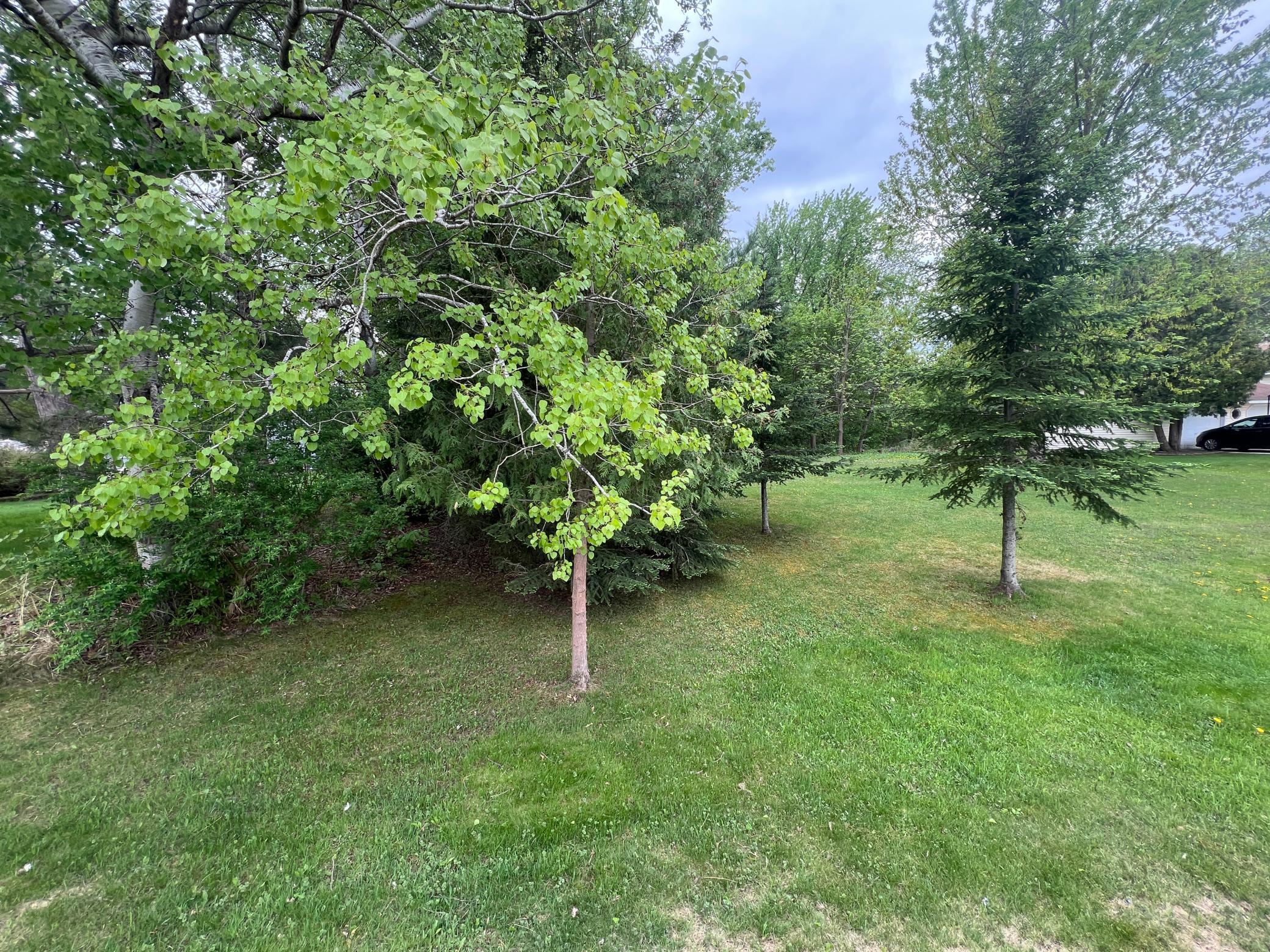 000 1st St Sw, Hinckley, Minnesota image 4