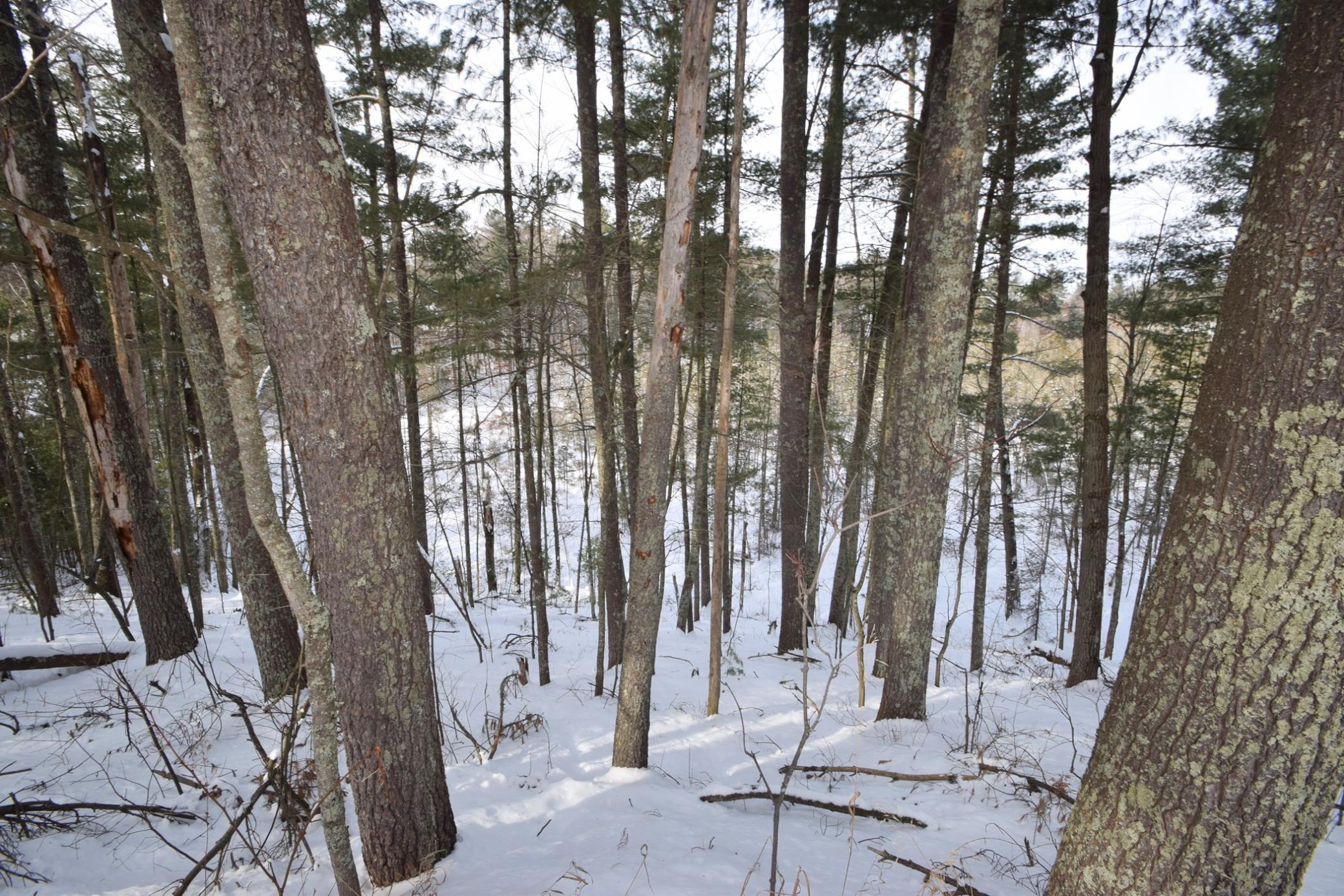 7836 County Road U, Danbury, Wisconsin image 30