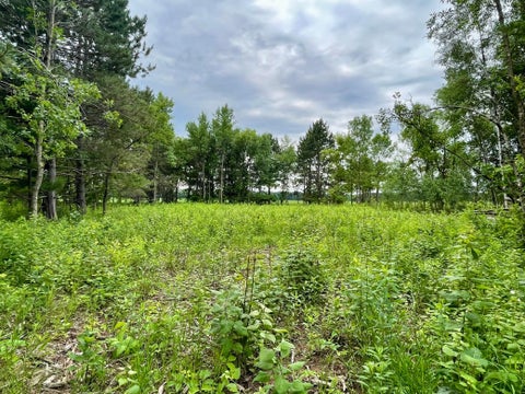 Vacant Land For Sale - TBD Pacer Drive<br/> Browerville, MN 56438