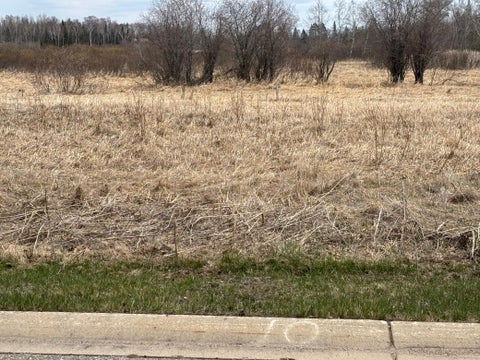 Vacant Land For Sale - LOT 10 Irvine Avenue<br/> Bemidji, MN 56601
