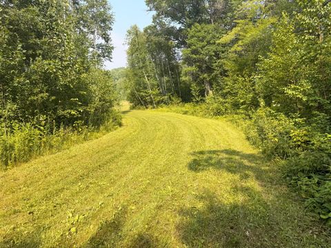 Vacant Land For Sale - 10 ACRES Evenson Road<br/> Crow Wing County, Pequot Lakes, MN 56472